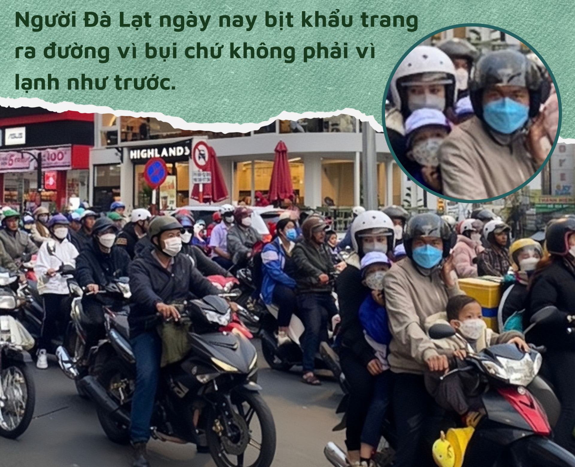 Tiếng khóc của một hạt thông giữa rừng Đà Lạt - 9