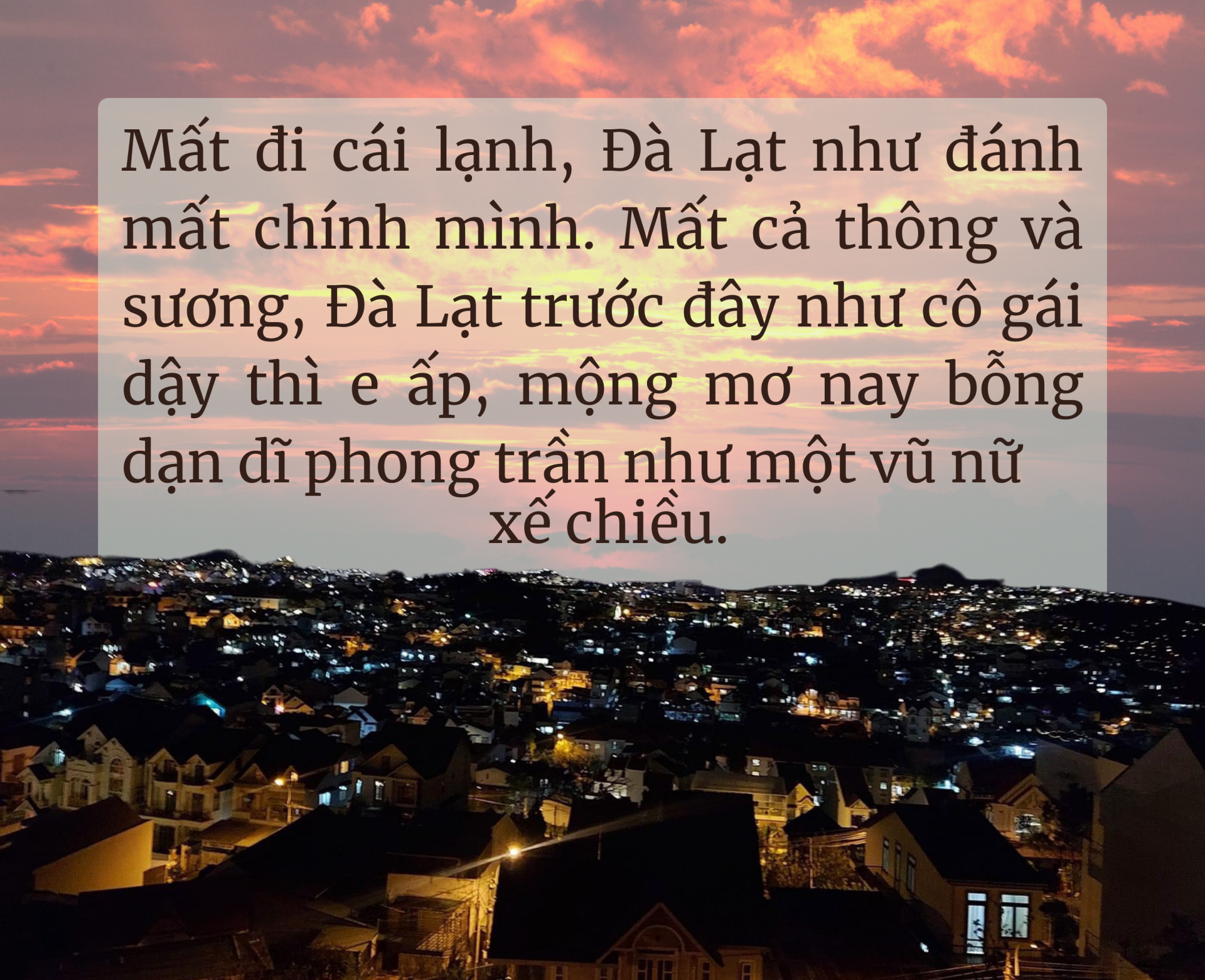 Tiếng khóc của một hạt thông giữa rừng Đà Lạt - 10
