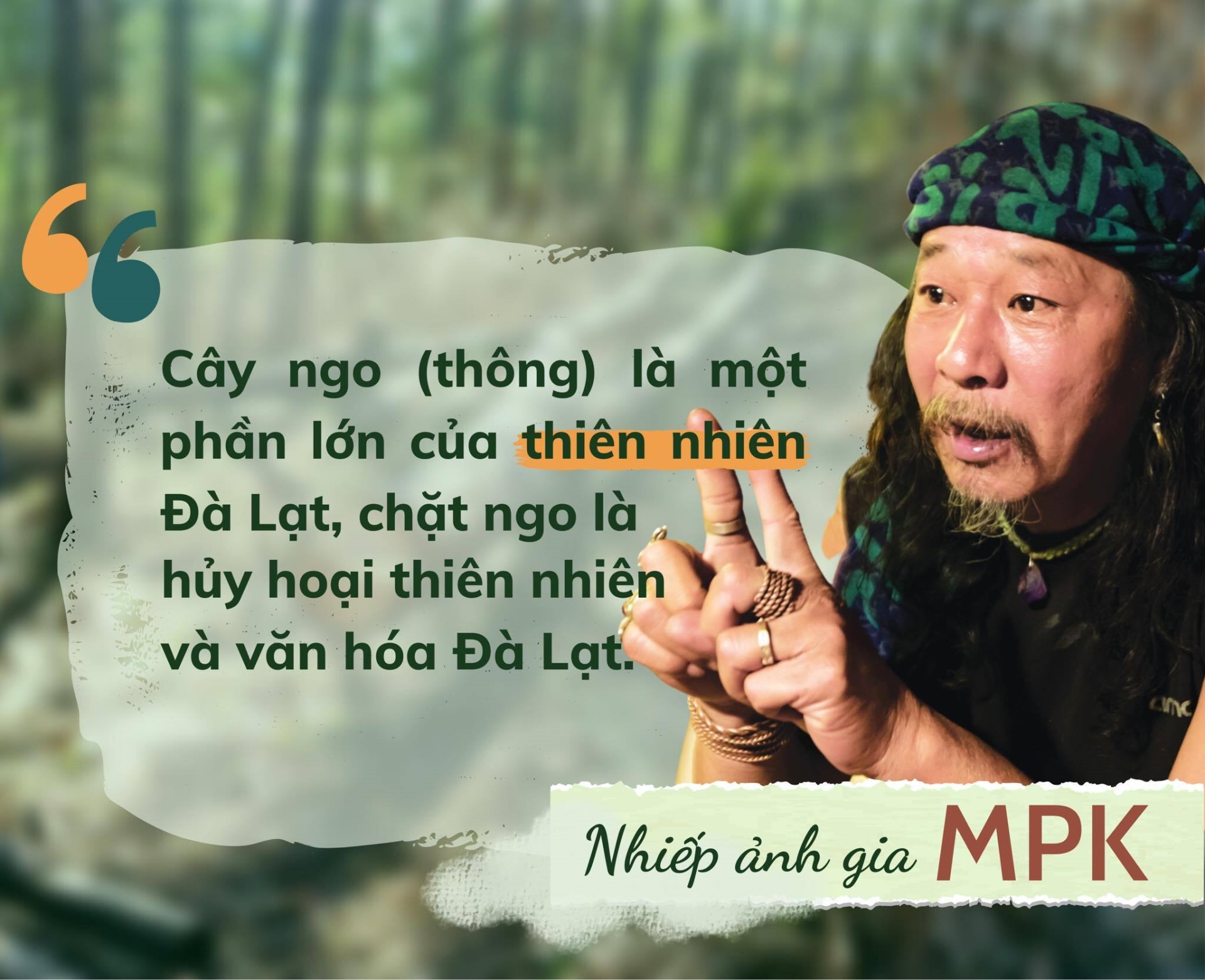 Tiếng khóc của một hạt thông giữa rừng Đà Lạt - 7