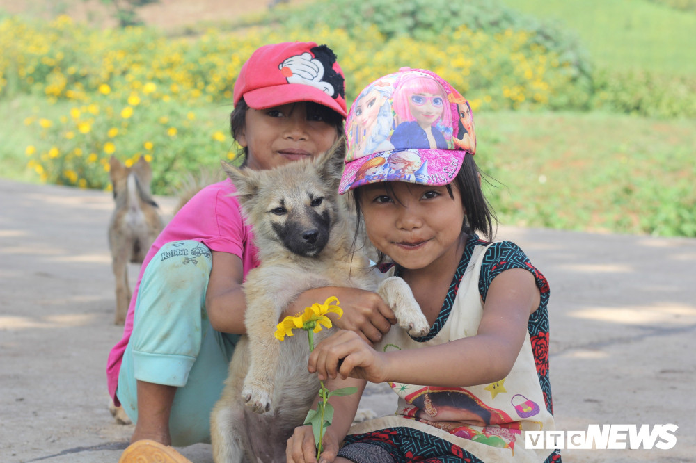 Sắc hoa rực rỡ, ngập tràn khắp hang cùng ngõ hẻm trên cả nước - 32