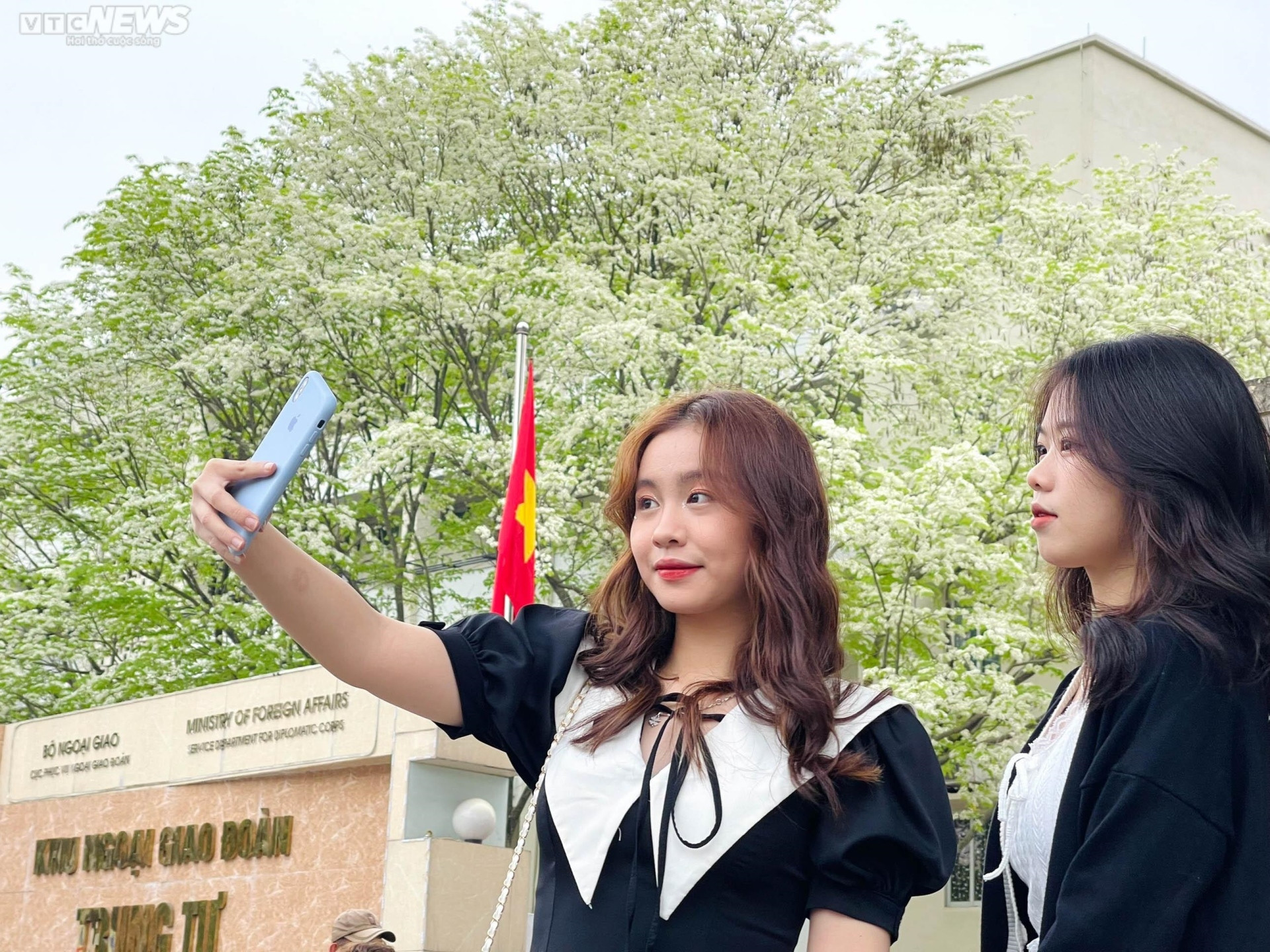 Sắc hoa rực rỡ, ngập tràn khắp hang cùng ngõ hẻm trên cả nước - 12