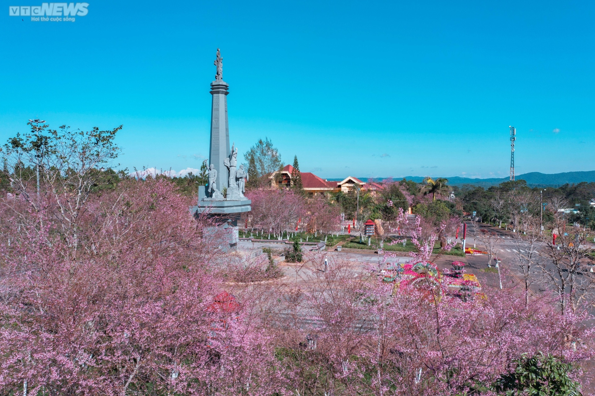 Sắc hoa rực rỡ, ngập tràn khắp hang cùng ngõ hẻm trên cả nước - 26