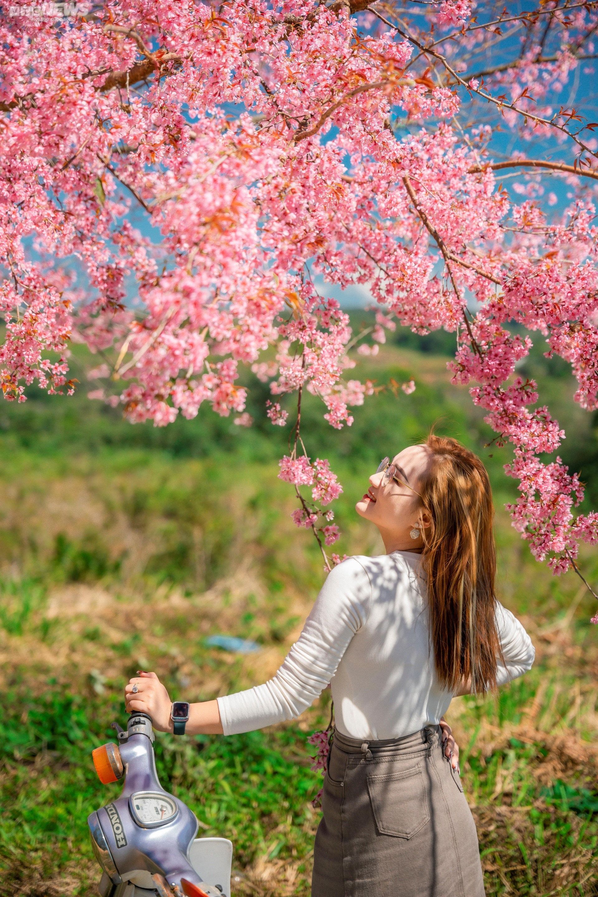 Sắc hoa rực rỡ, ngập tràn khắp hang cùng ngõ hẻm trên cả nước - 25