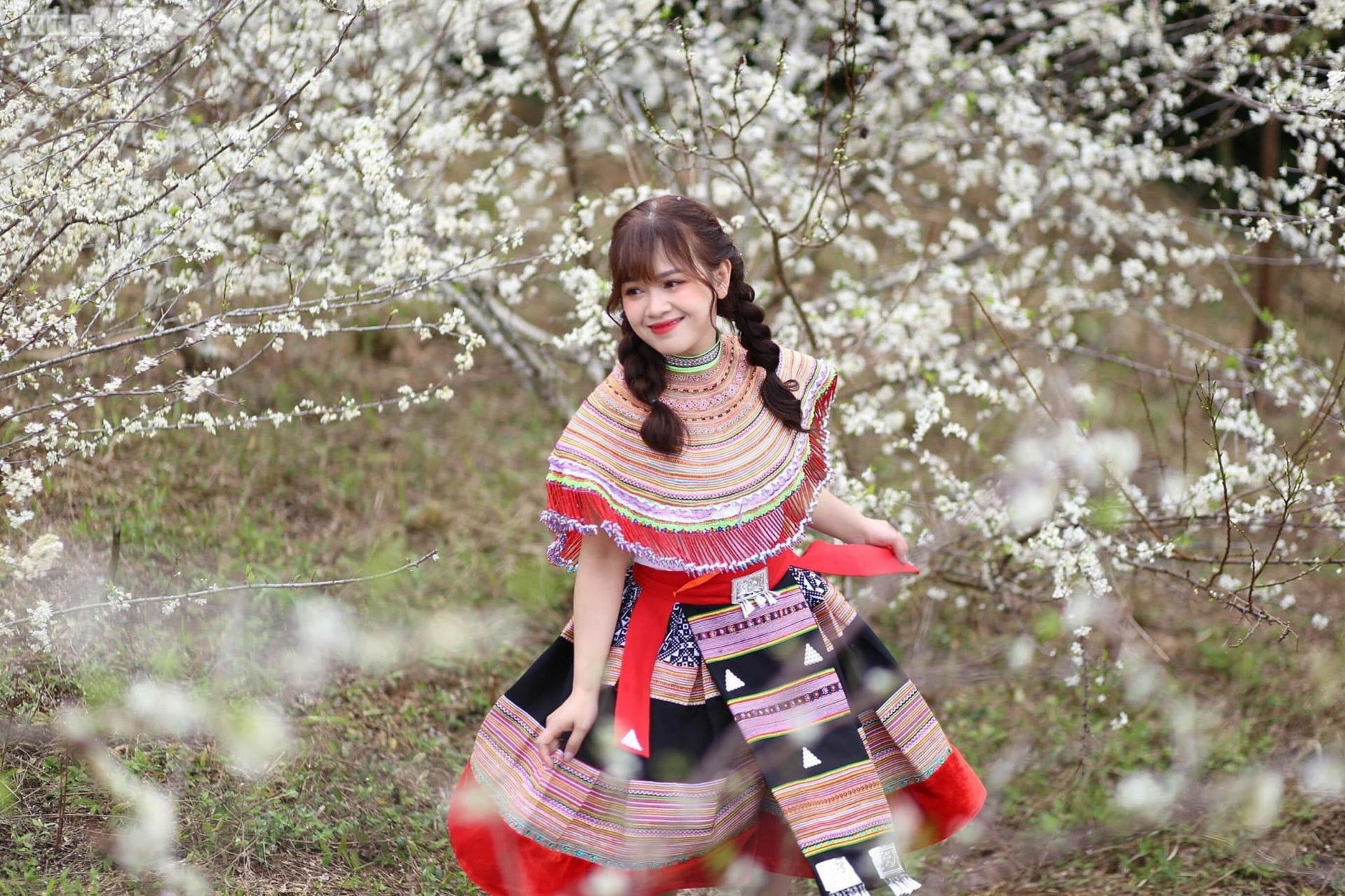 Sắc hoa rực rỡ, ngập tràn khắp hang cùng ngõ hẻm trên cả nước - 20