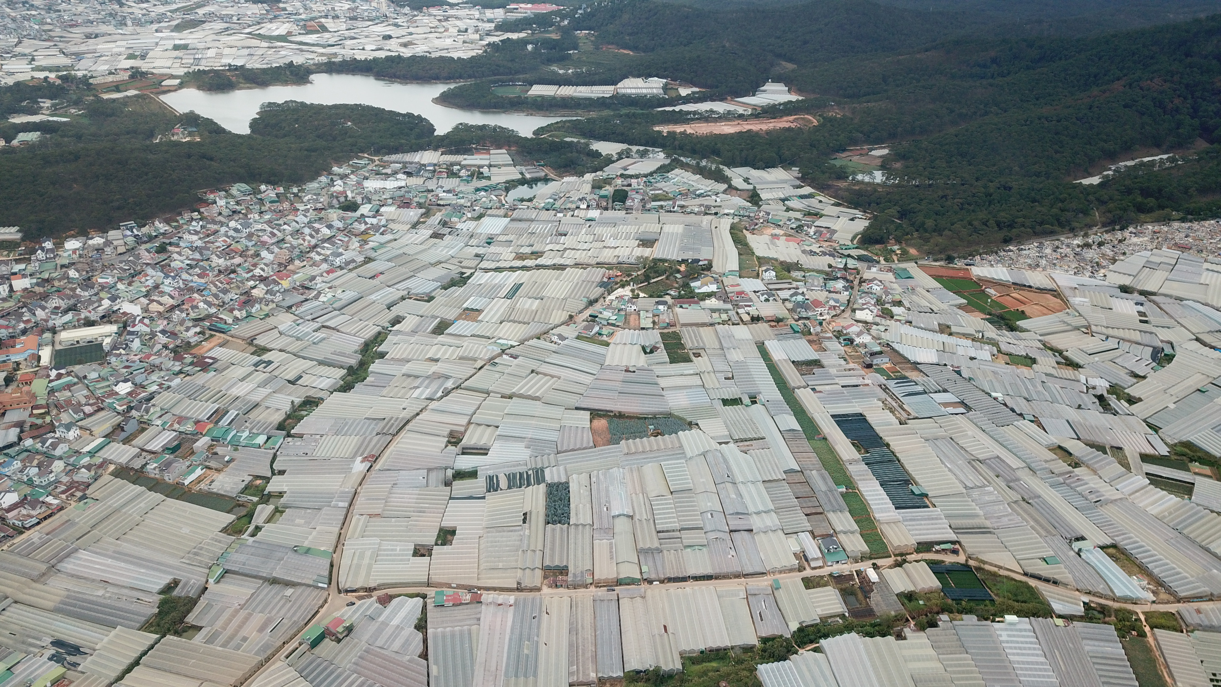 'Giải vây’ nạn nhà kính cho Đà Lạt - 2