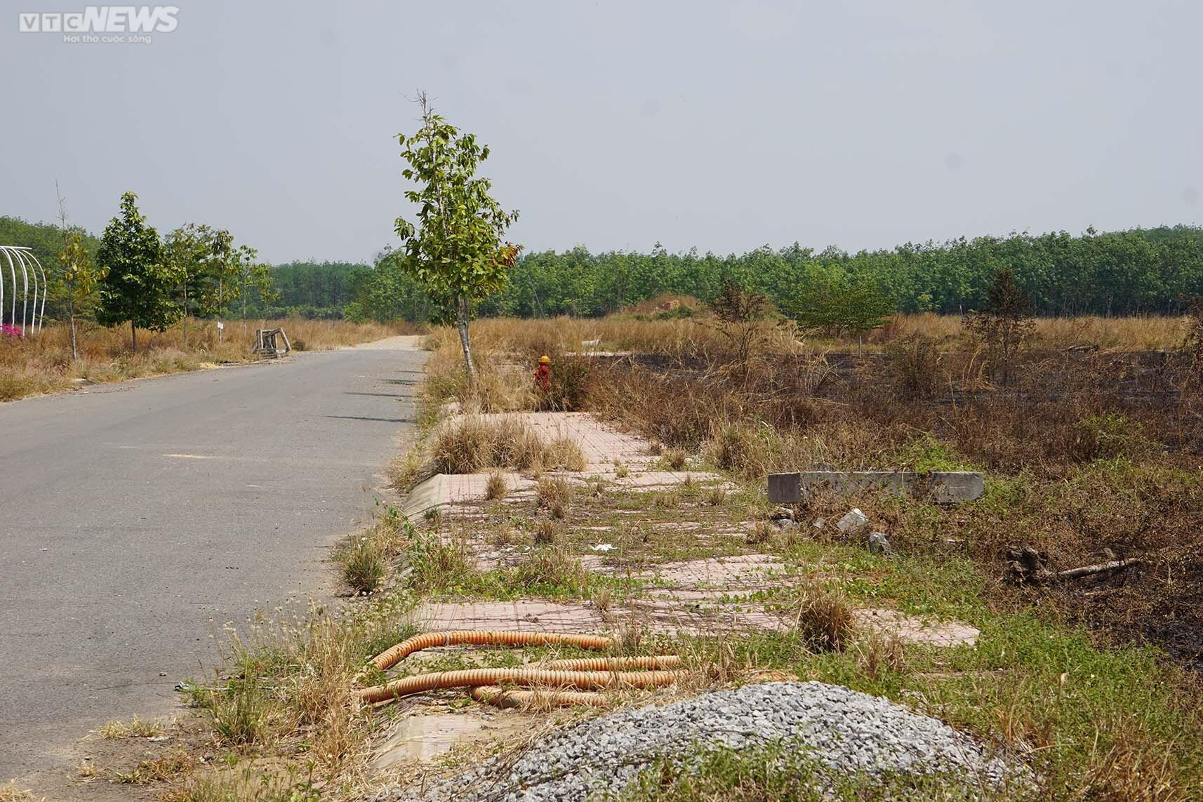 Rót tiền vào dự án không pháp lý ở Bình Dương, người mua ôm 'trái đắng' - 6