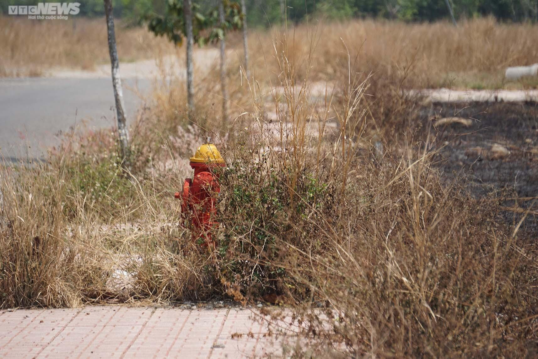 Rót tiền vào dự án không pháp lý ở Bình Dương, người mua ôm 'trái đắng' - 5