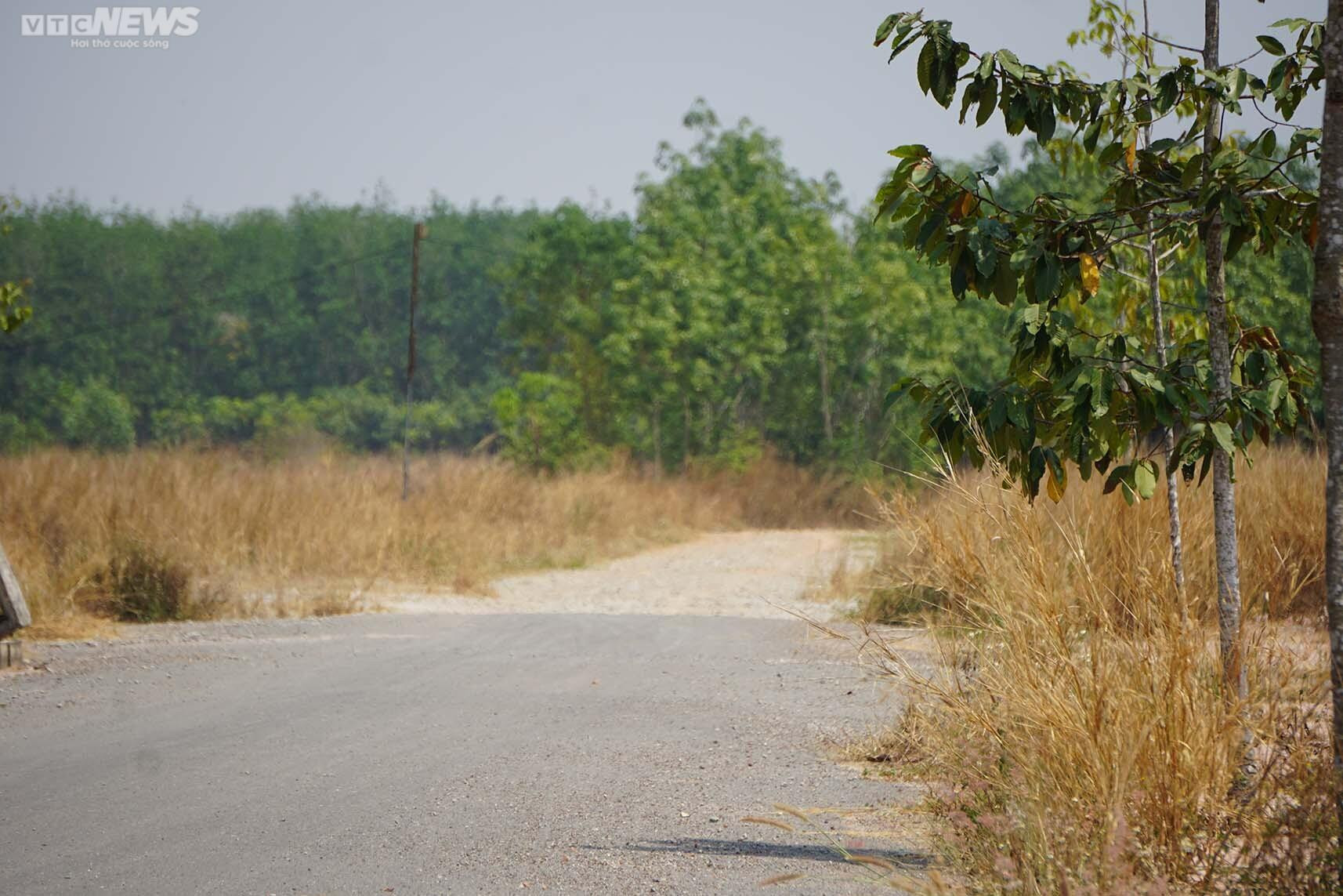 Rót tiền vào dự án không pháp lý ở Bình Dương, người mua ôm 'trái đắng' - 3