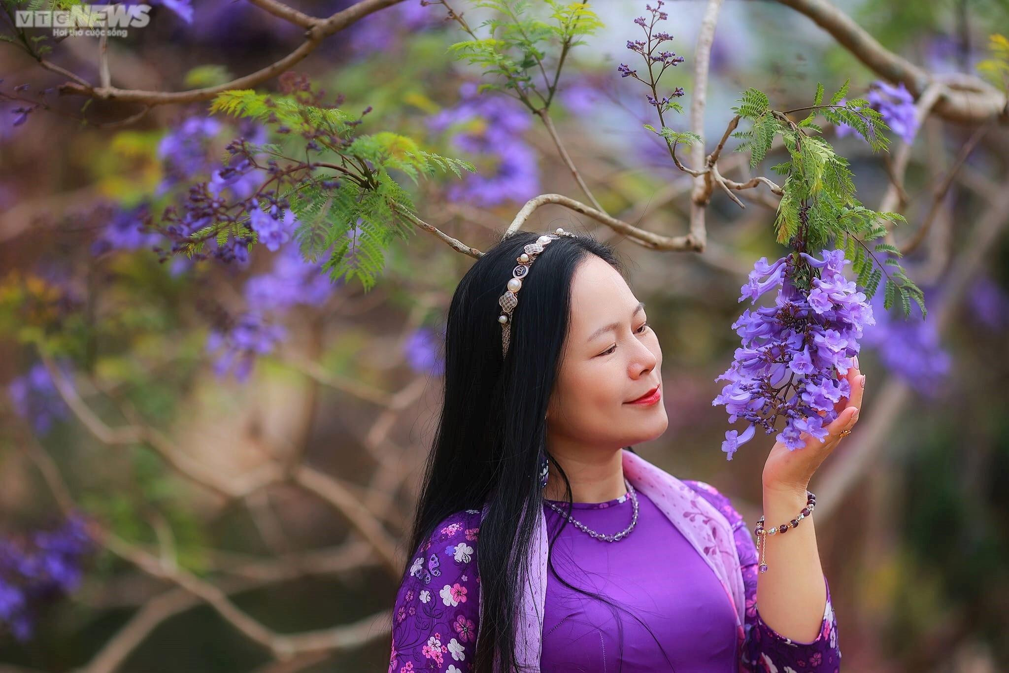 Ảnh: Đà Lạt đẹp mộng mơ mùa hoa phượng tím khoe hương - 8