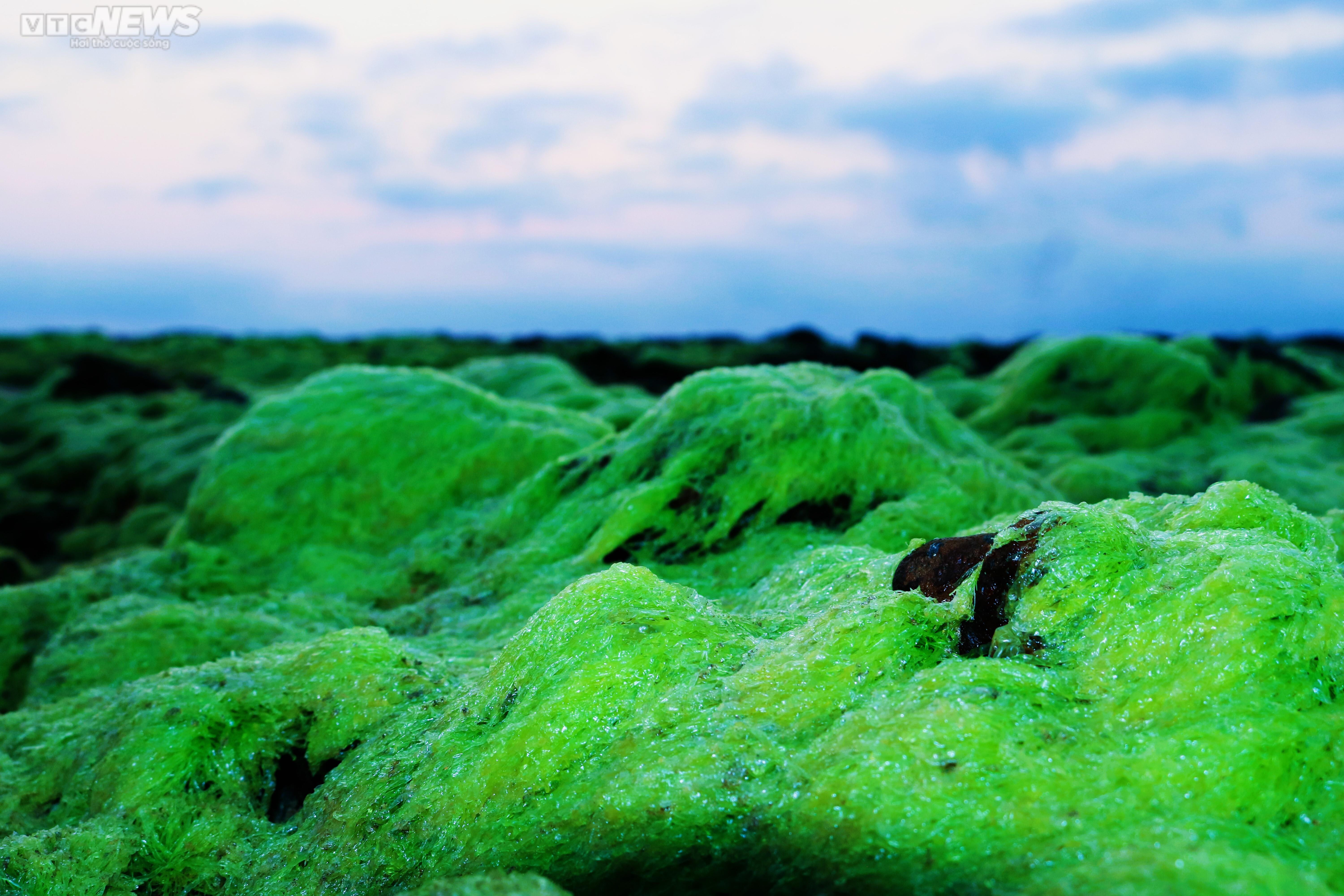 Đẹp đến nghẹt thở ở bãi biển tiên cảnh Lộ Diêu - 13