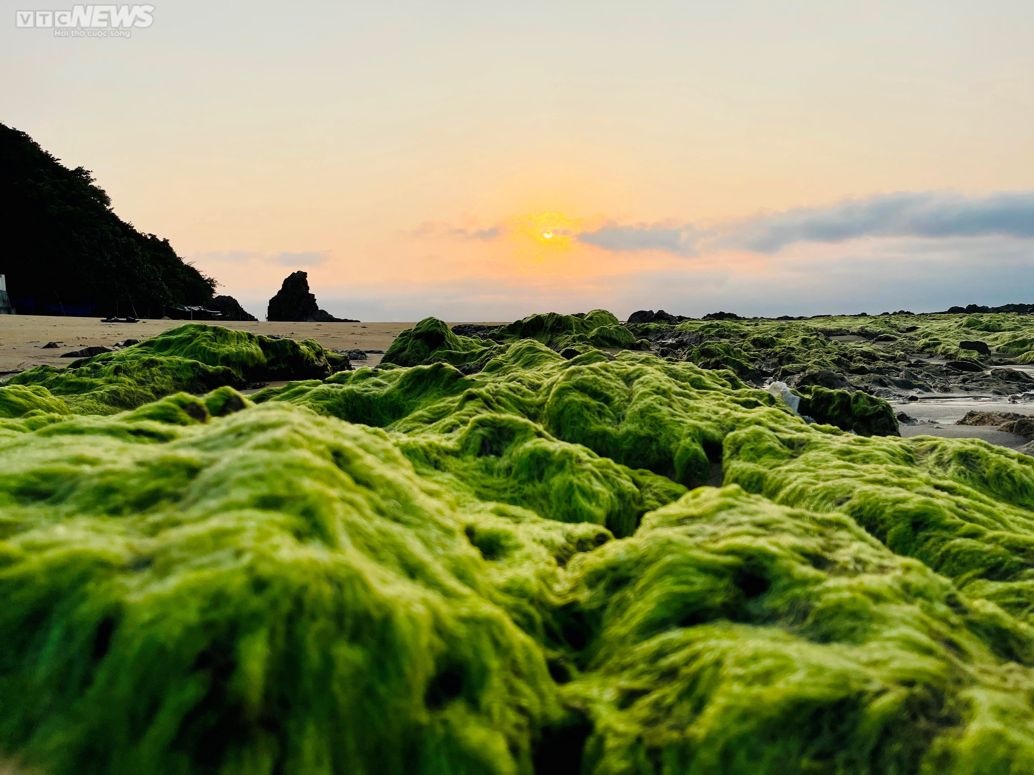 Đẹp đến nghẹt thở ở bãi biển tiên cảnh Lộ Diêu - 4