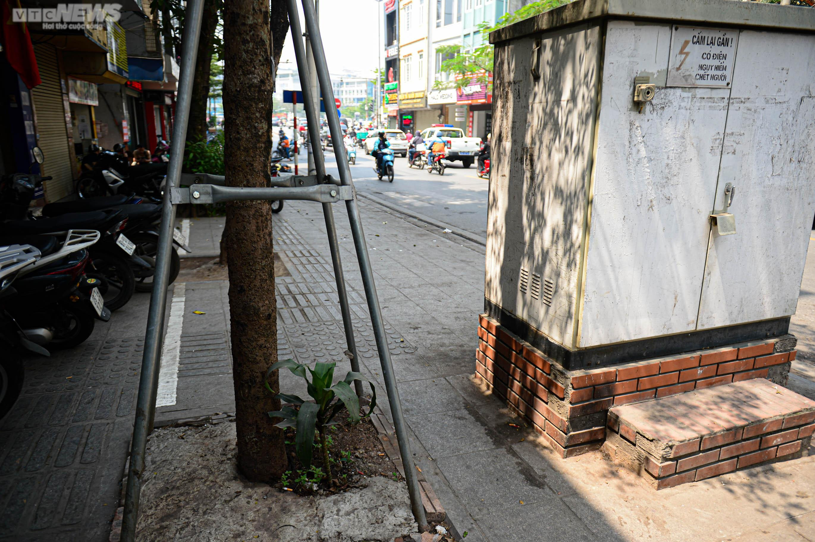 Kẻ vạch vỉa hè: Phần rộng để đỗ xe, phần cho người đi bộ toàn gốc cây, bốt điện - 15