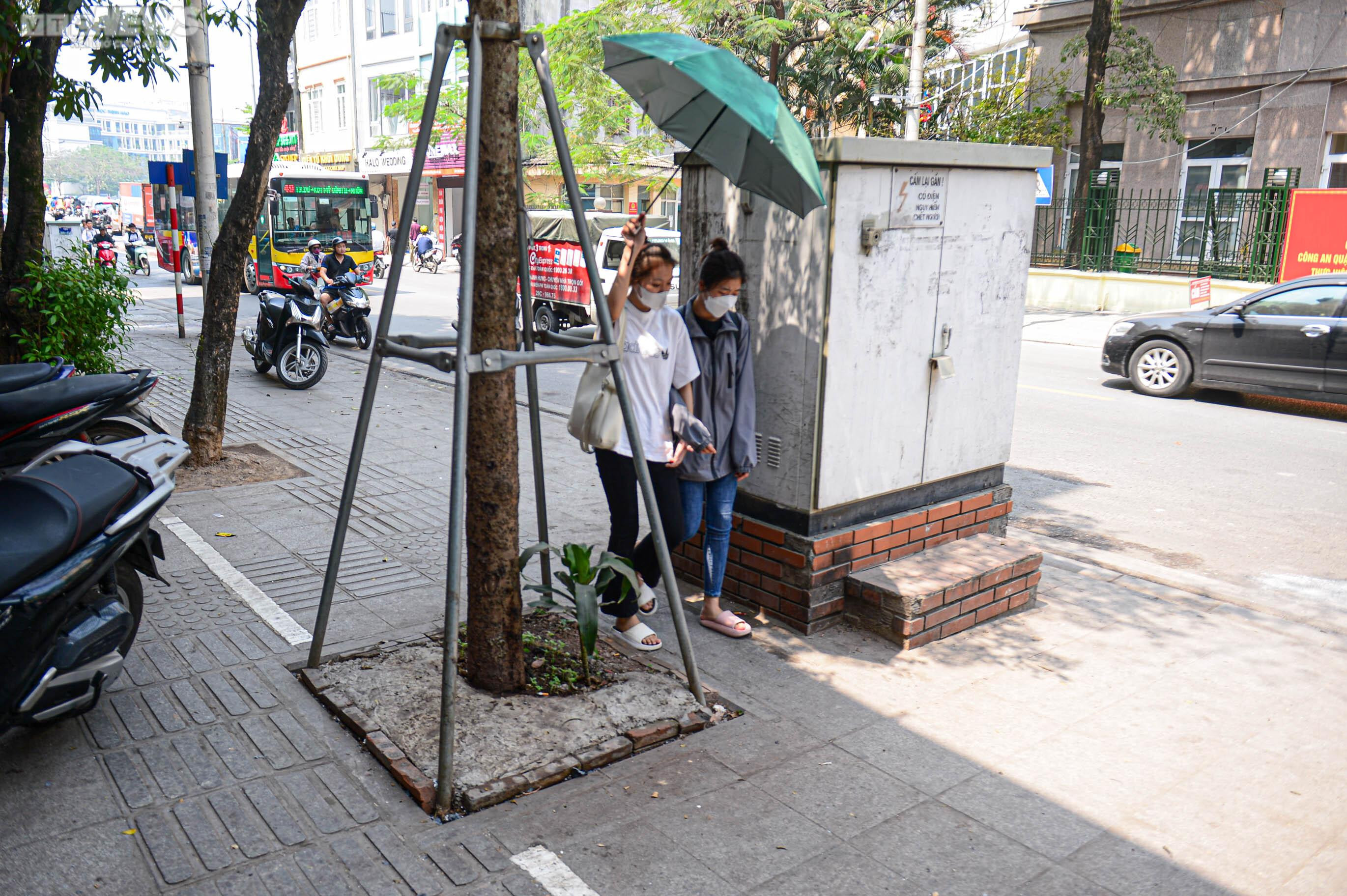 Kẻ vạch vỉa hè: Phần rộng để đỗ xe, phần cho người đi bộ toàn gốc cây, bốt điện - 17