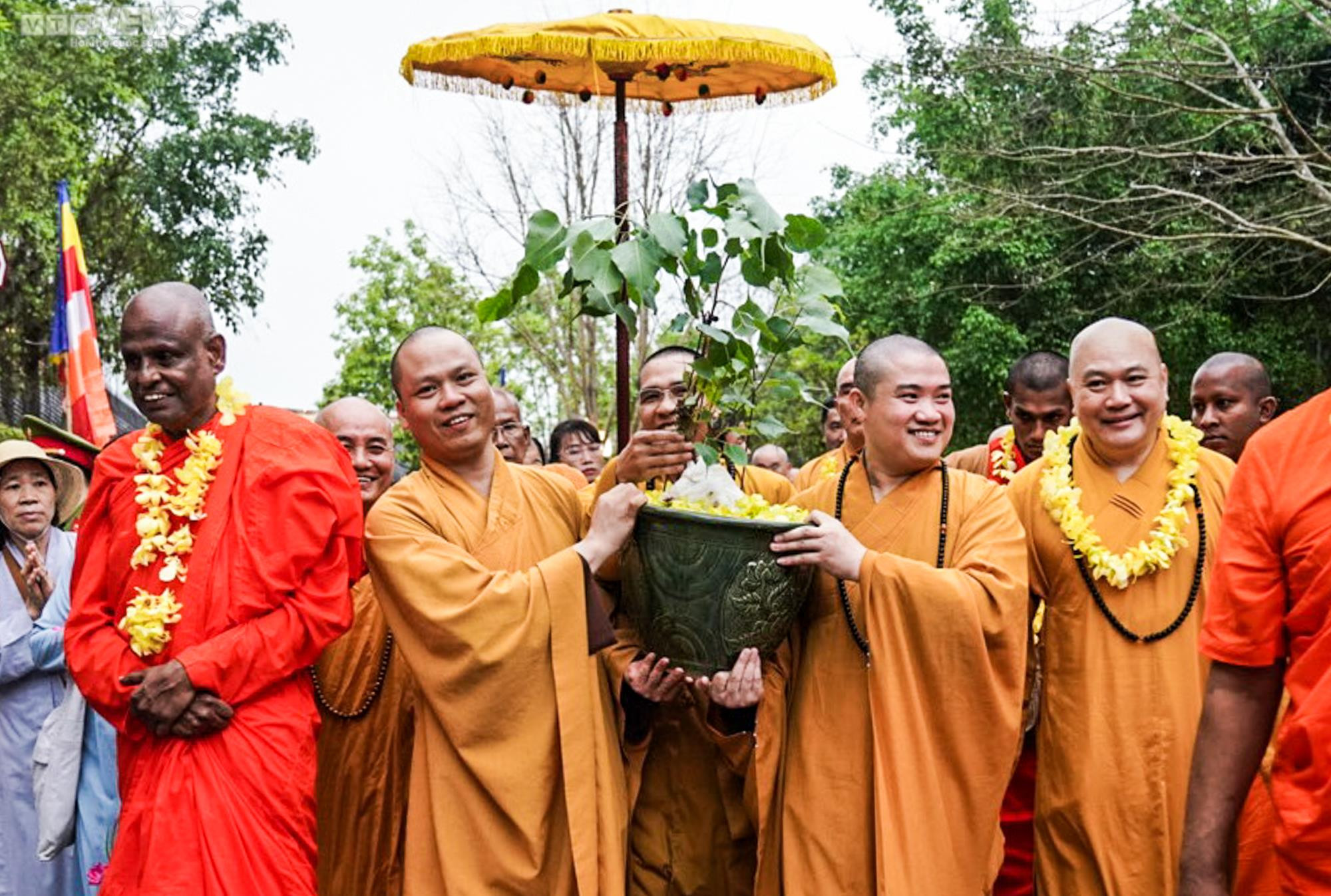 Rước nhánh cây bồ đề thiêng về trồng tại chùa Bái Đính - 2