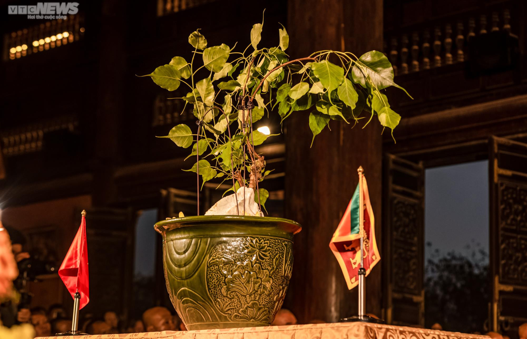 Rước nhánh cây bồ đề thiêng về trồng tại chùa Bái Đính - 7