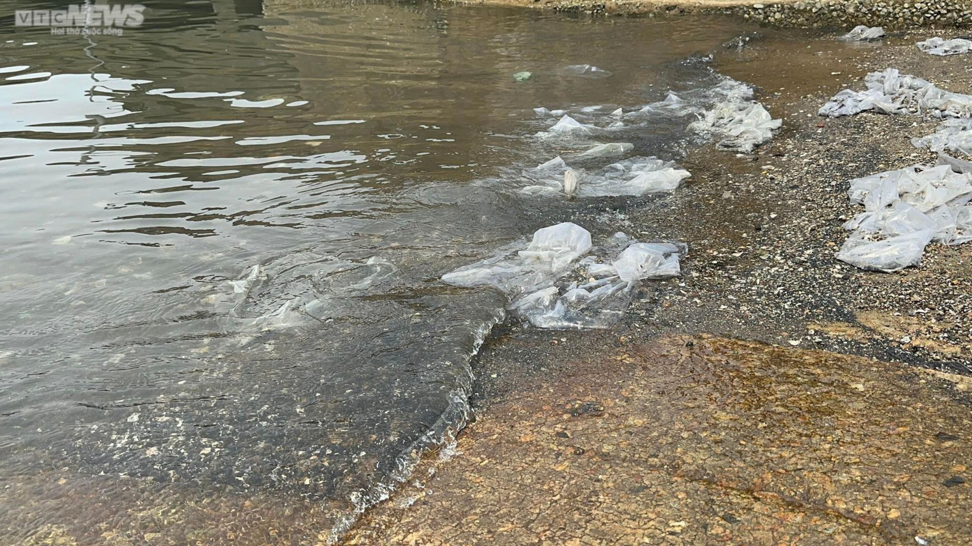 Dân khốn khổ với những núi than khổng lồ đưa từ Lào về Việt Nam - 7