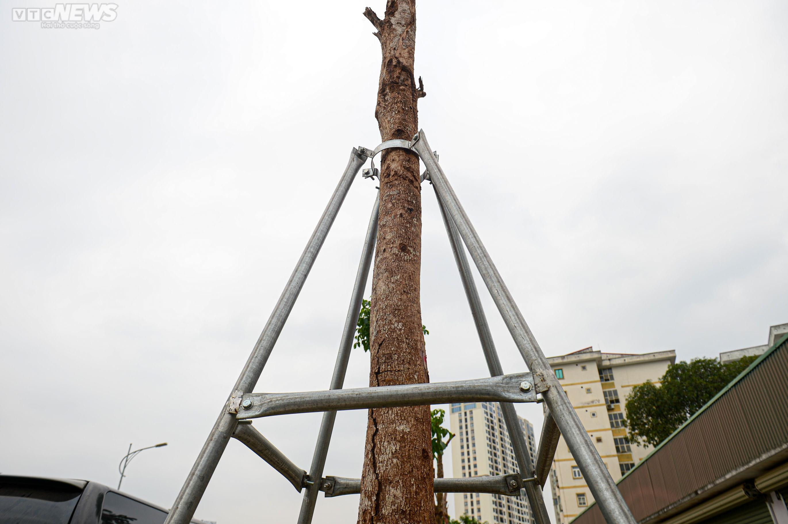 Nhổ bỏ hàng cây chết khô trên con đường hơn 340 tỷ vừa thông xe ở Hà Nội - 4