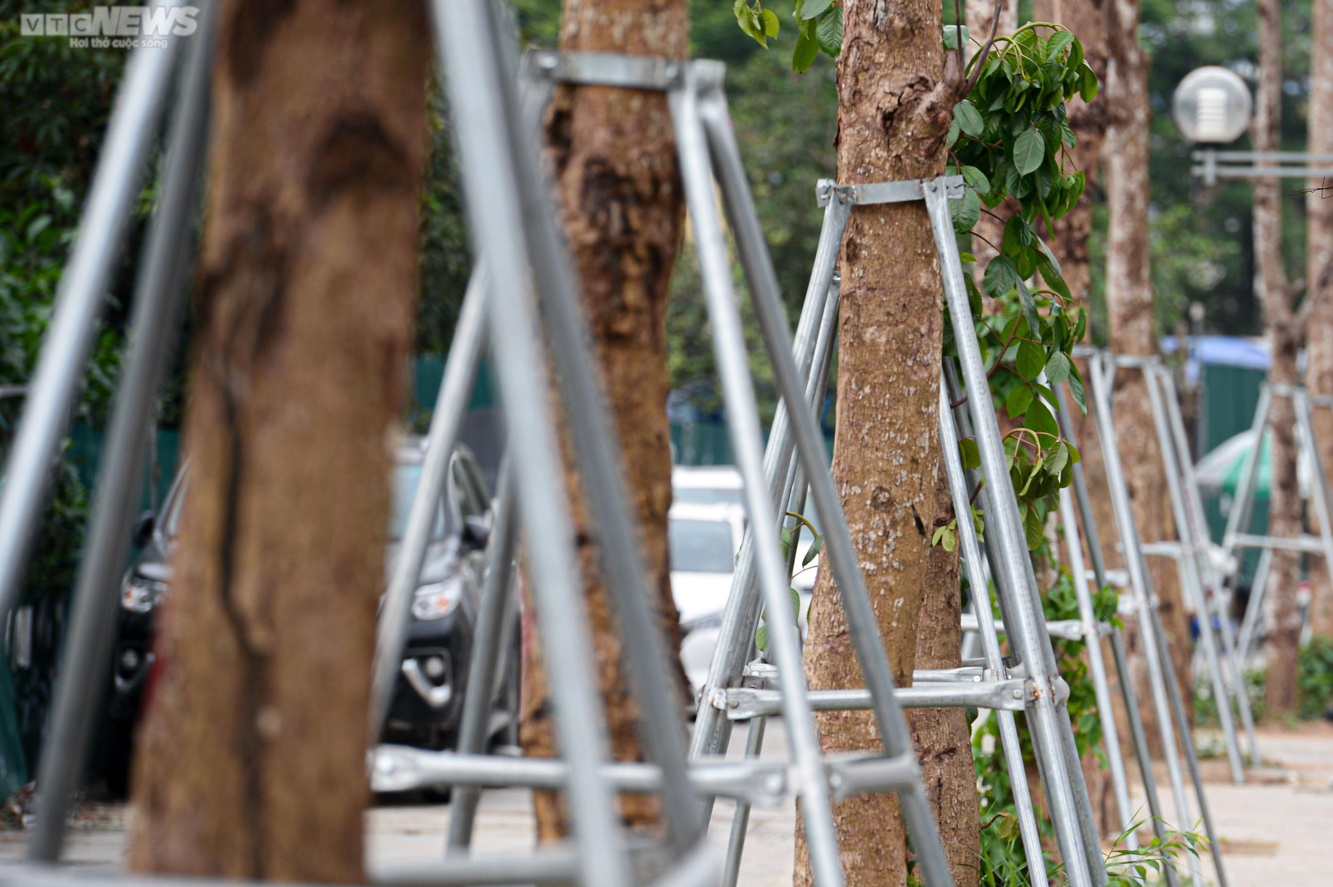 Nhổ bỏ hàng cây chết khô trên con đường hơn 340 tỷ vừa thông xe ở Hà Nội - 3