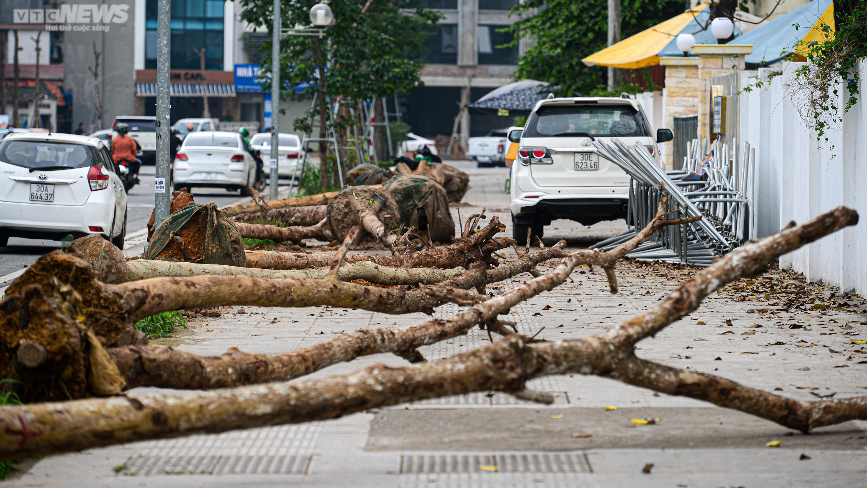 Nhổ bỏ hàng cây chết khô trên con đường hơn 340 tỷ vừa thông xe ở Hà Nội - 12
