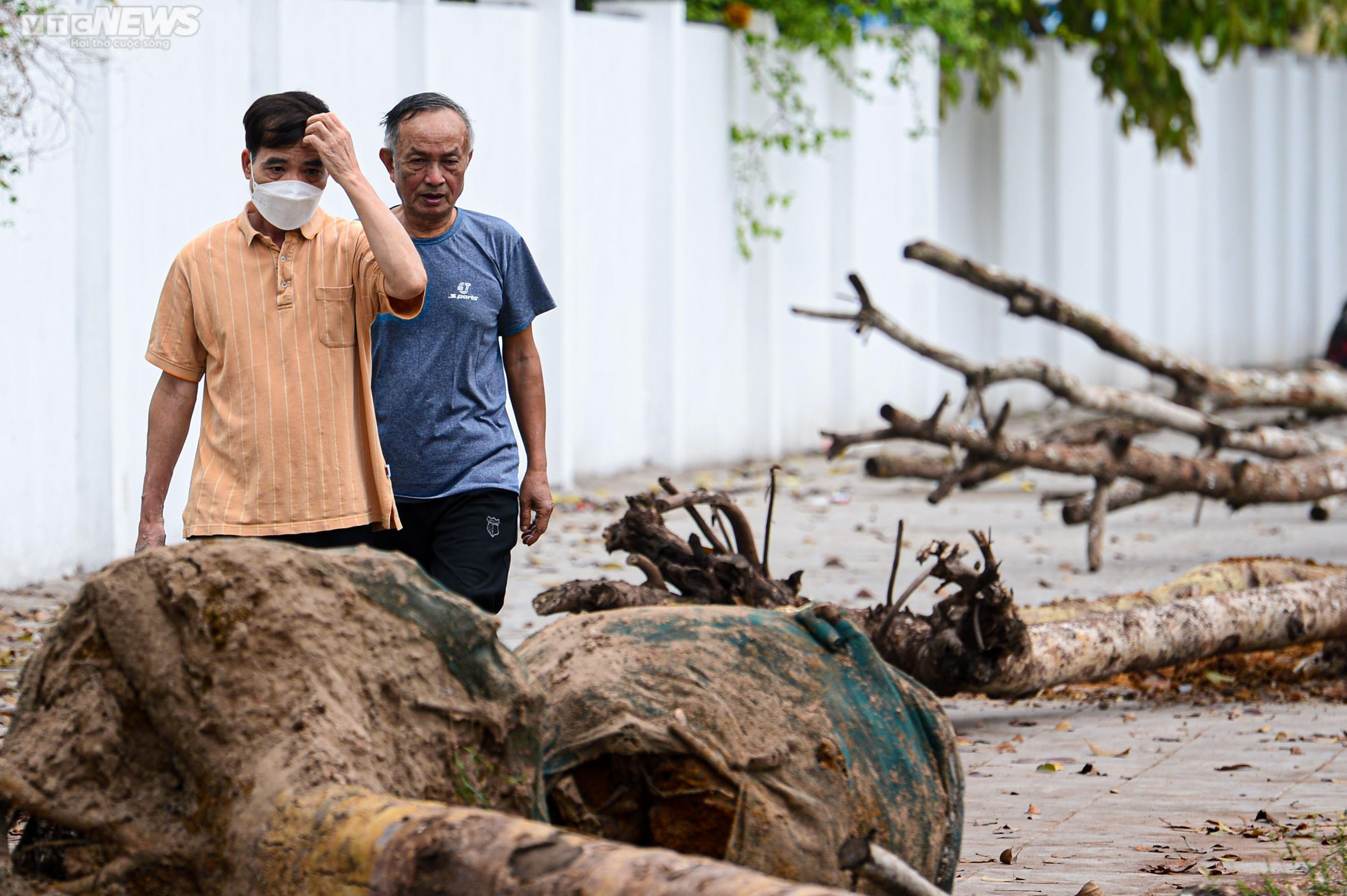 Nhổ bỏ hàng cây chết khô trên con đường hơn 340 tỷ vừa thông xe ở Hà Nội - 10