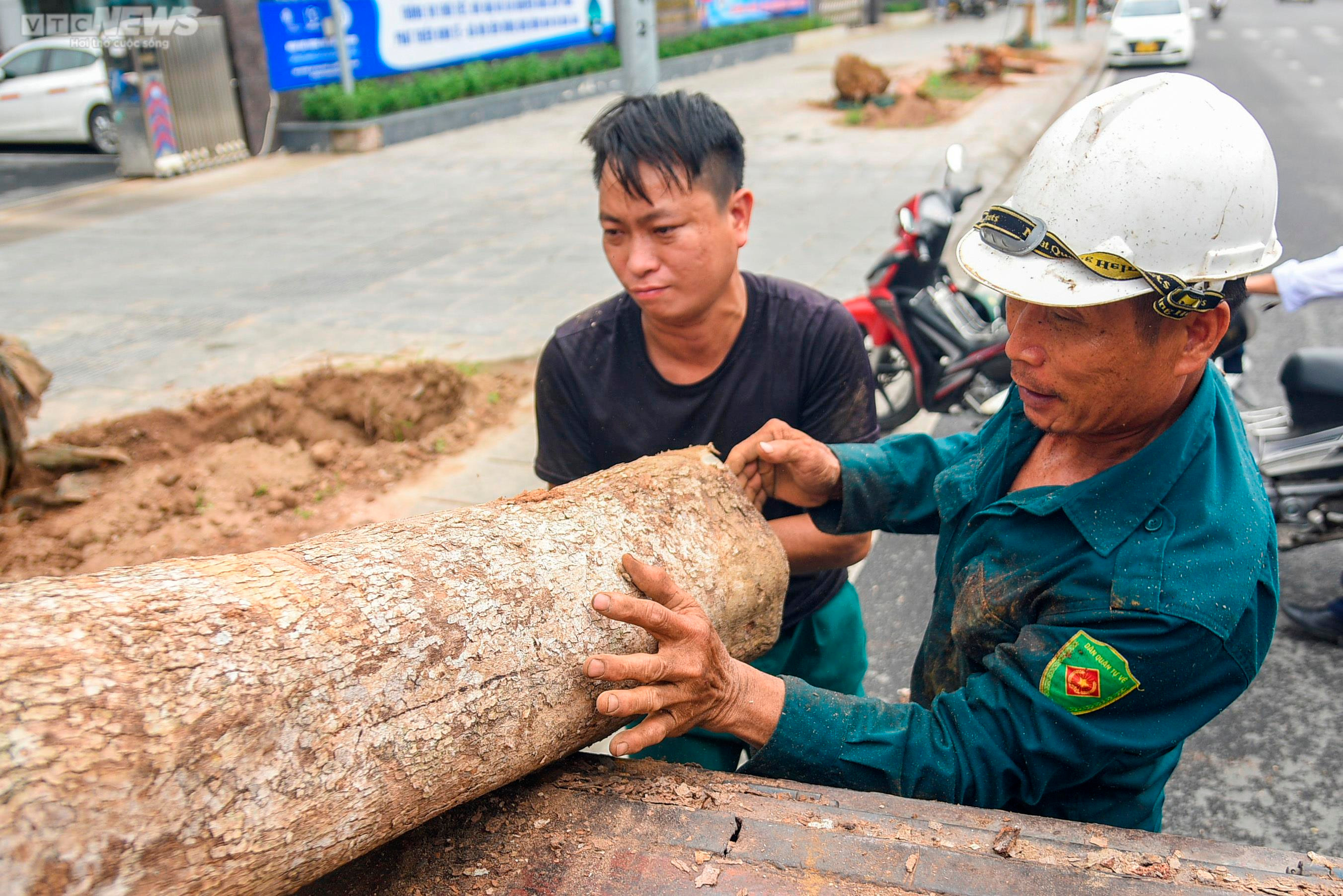 Nhổ bỏ hàng cây chết khô trên con đường hơn 340 tỷ vừa thông xe ở Hà Nội - 8