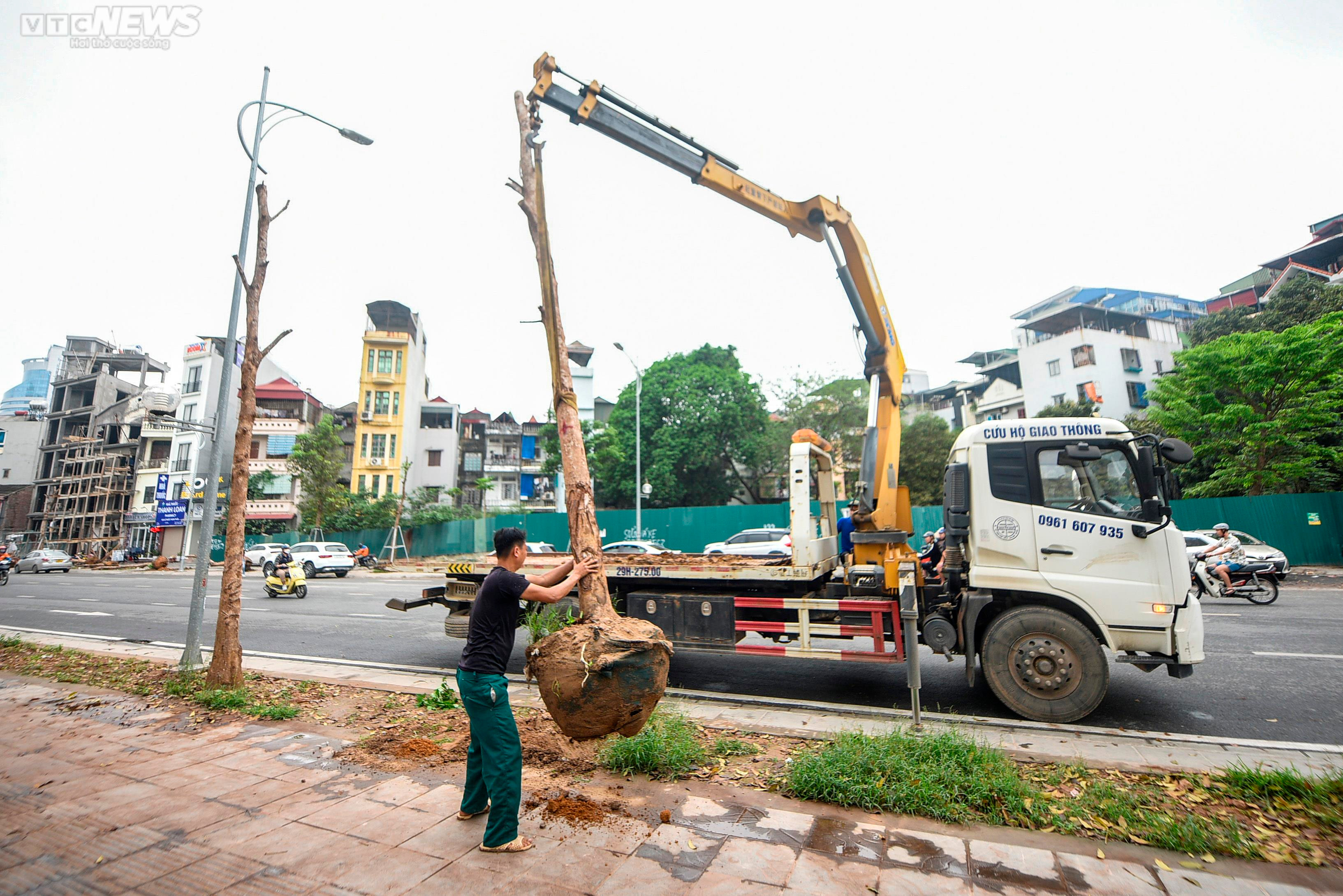 Nhổ bỏ hàng cây chết khô trên con đường hơn 340 tỷ vừa thông xe ở Hà Nội - 6