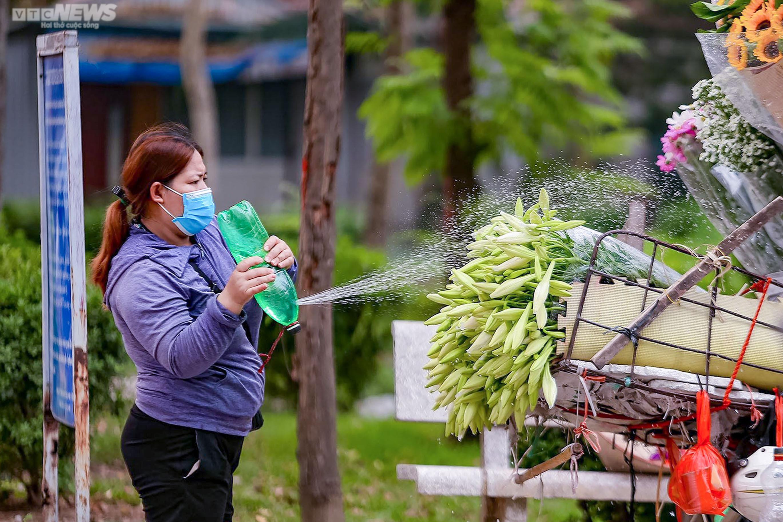 Hoa loa kèn trắng tinh khôi khoe sắc trên phố phường Hà Nội - 8