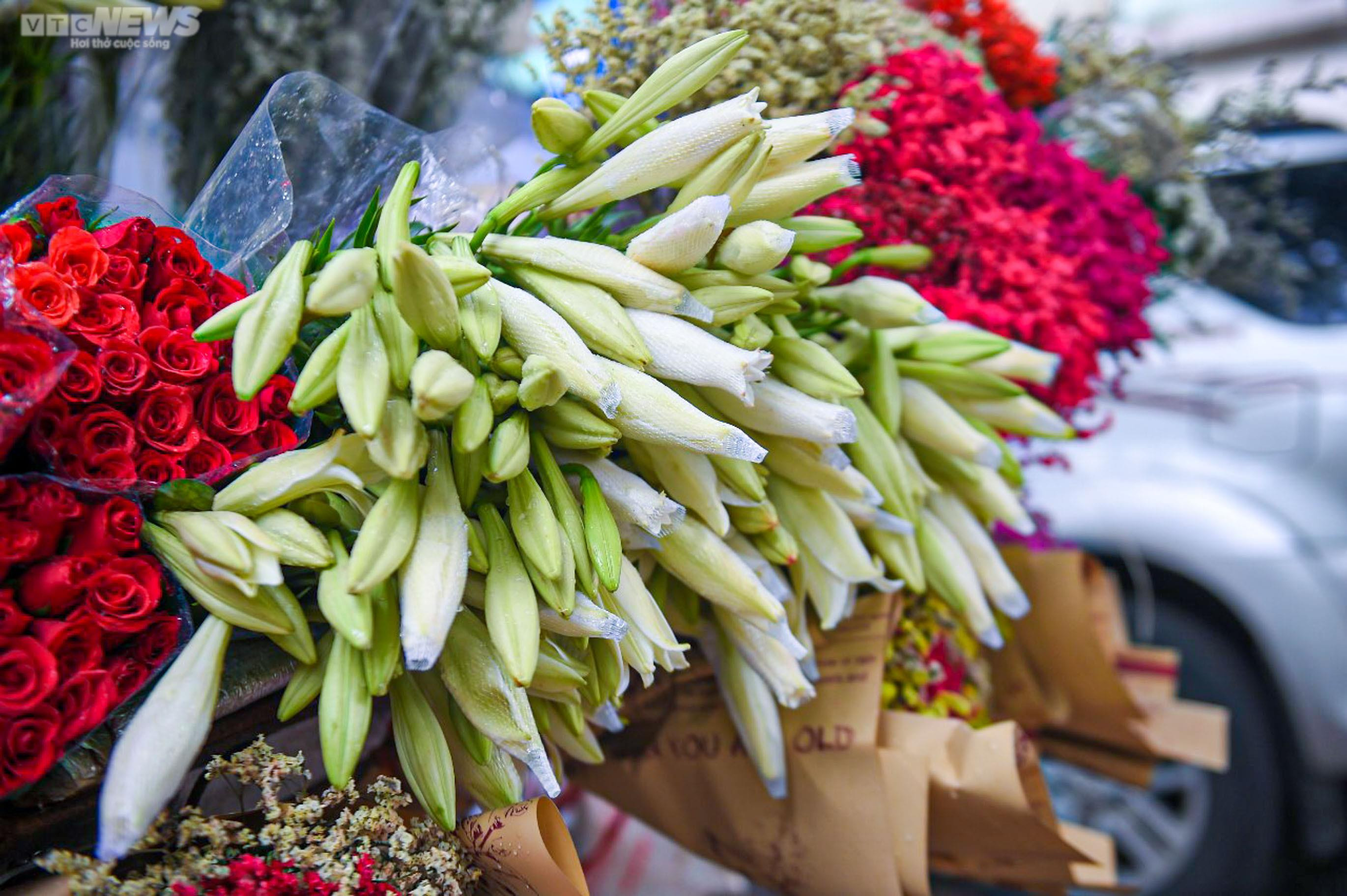 Hoa loa kèn trắng tinh khôi khoe sắc trên phố phường Hà Nội - 5