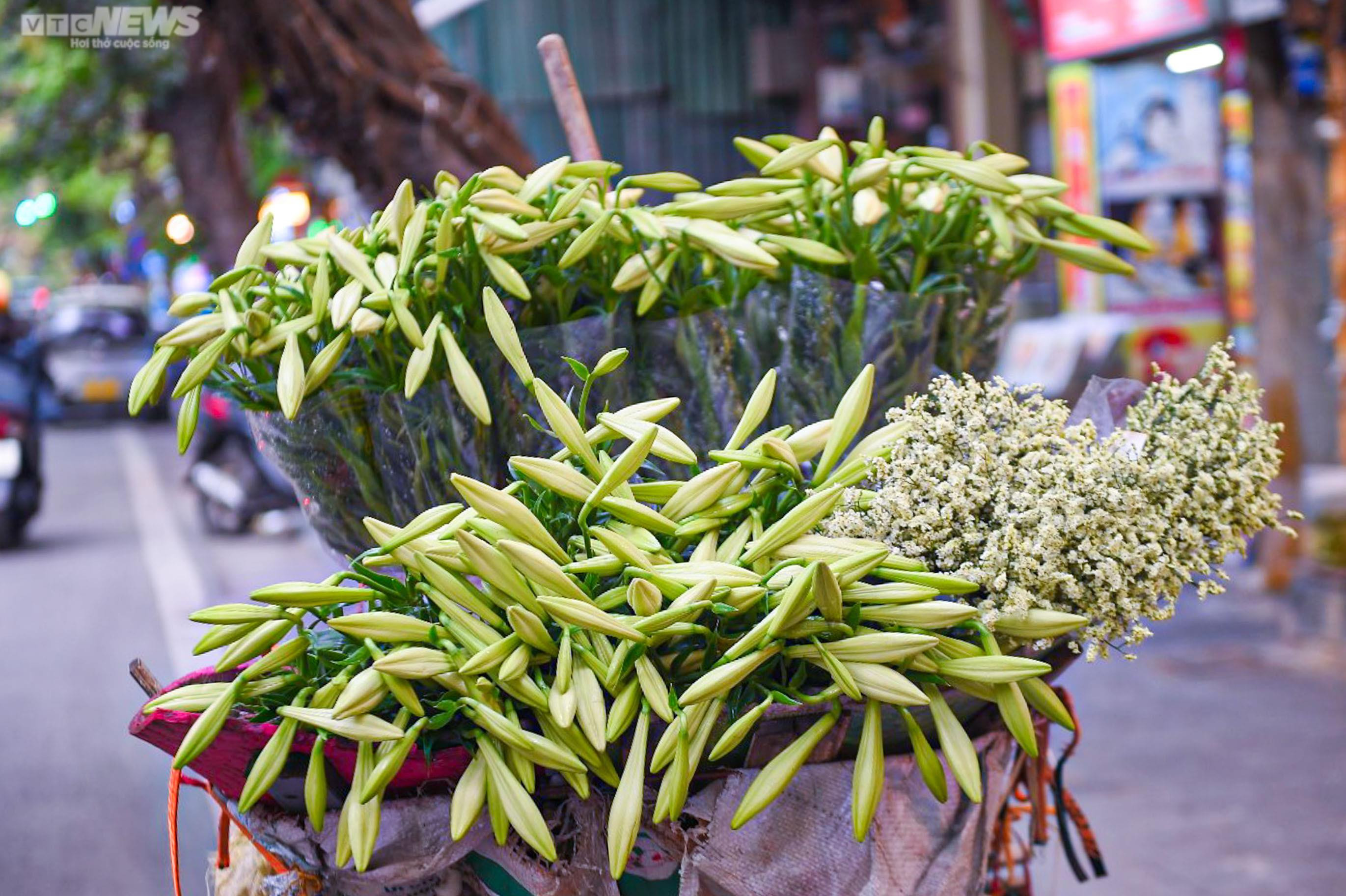 Hoa loa kèn trắng tinh khôi khoe sắc trên phố phường Hà Nội - 4