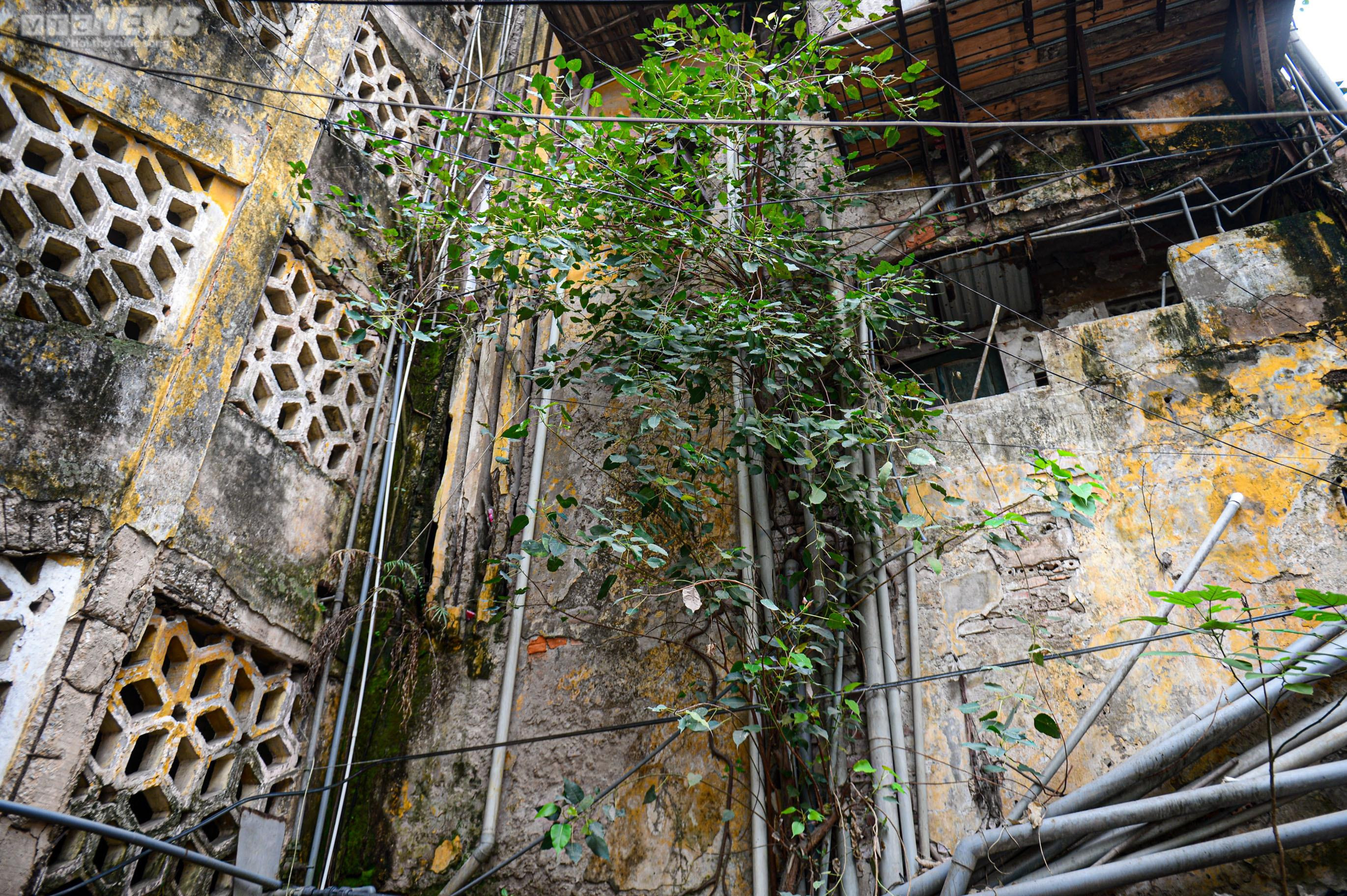 Người Hà Nội bất an sống trong khu tập thể chờ sập, không mưa cũng dột - 12