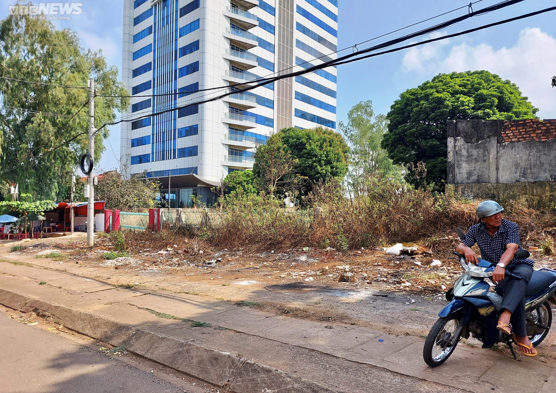 Hàng loạt khu 'đất vàng' thành bãi đậu xe, nơi chăn bò ở Gia Lai - 5