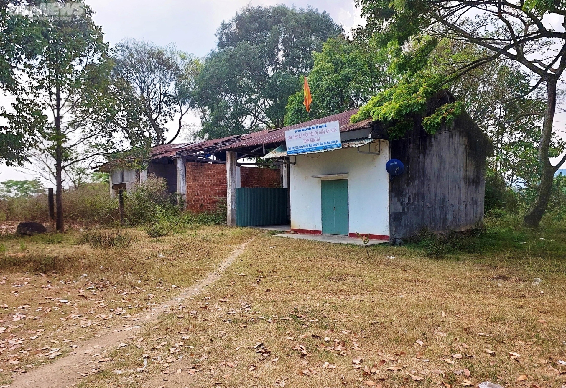 Hàng loạt khu 'đất vàng' thành bãi đậu xe, nơi chăn bò ở Gia Lai - 7