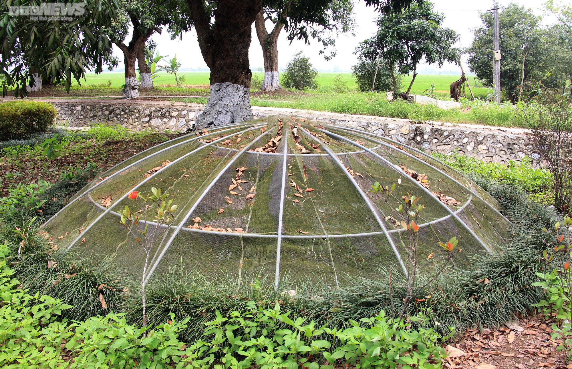 Chiêm ngưỡng ngai thờ độc nhất vô nhị hơn 300 năm tuổi ở Thái Bình - 23