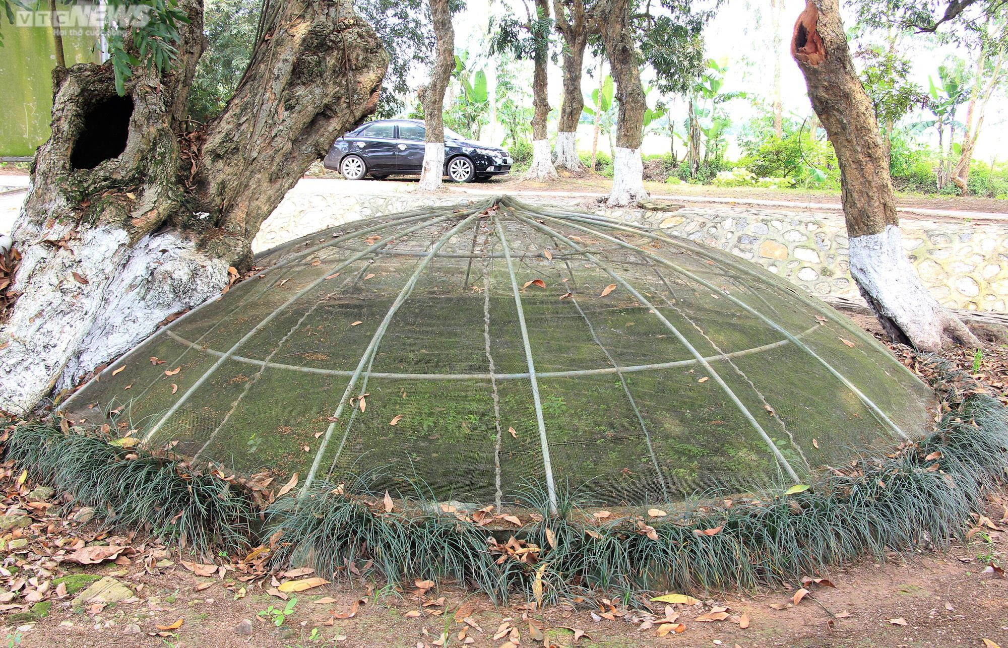 Chiêm ngưỡng ngai thờ độc nhất vô nhị hơn 300 năm tuổi ở Thái Bình - 24