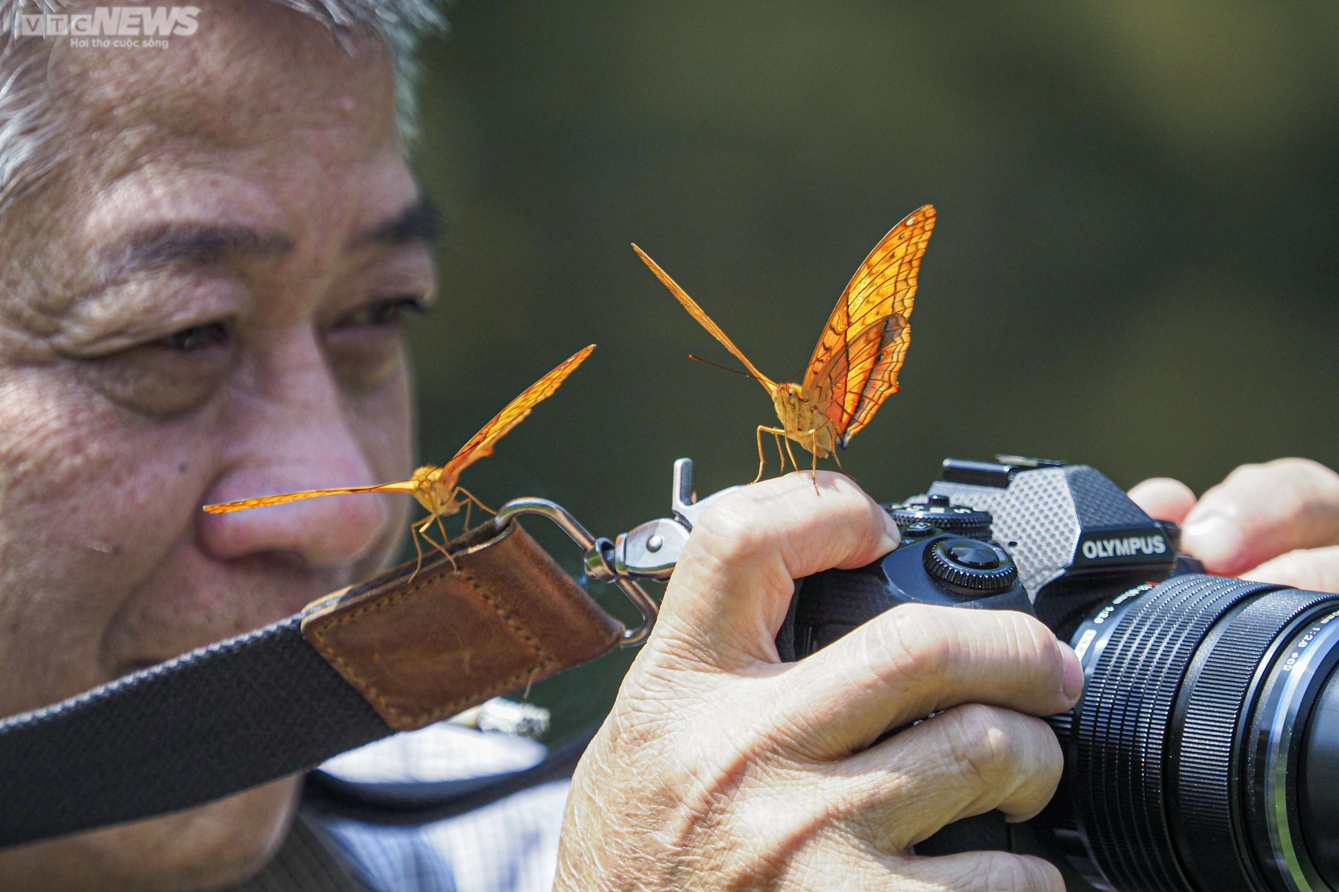 Chiêm ngưỡng hàng triệu cánh bướm bay rợp trời tại Vườn quốc gia Cúc Phương - 13