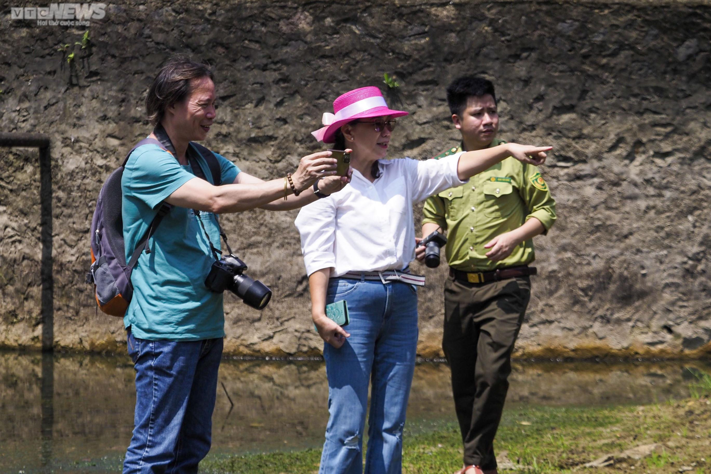 Chiêm ngưỡng hàng triệu cánh bướm bay rợp trời tại Vườn quốc gia Cúc Phương - 12