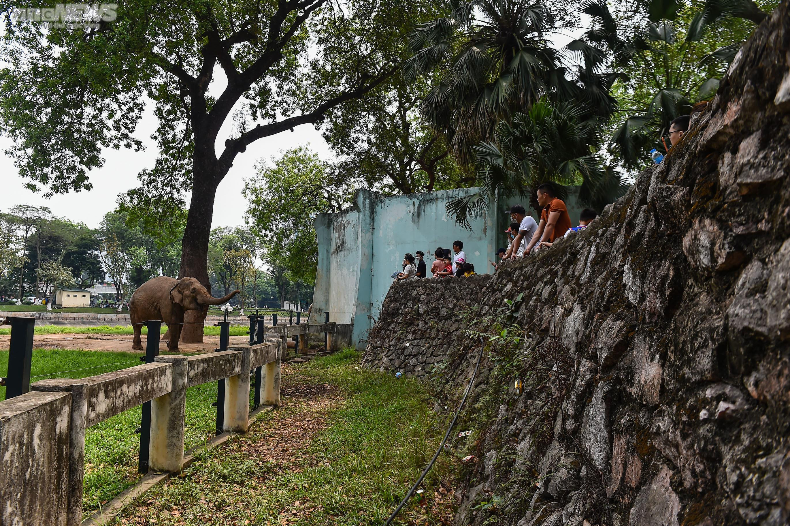 Ngộp thở giữa biển người đổ về công viên Thủ Lệ ngày 1/5 - 15