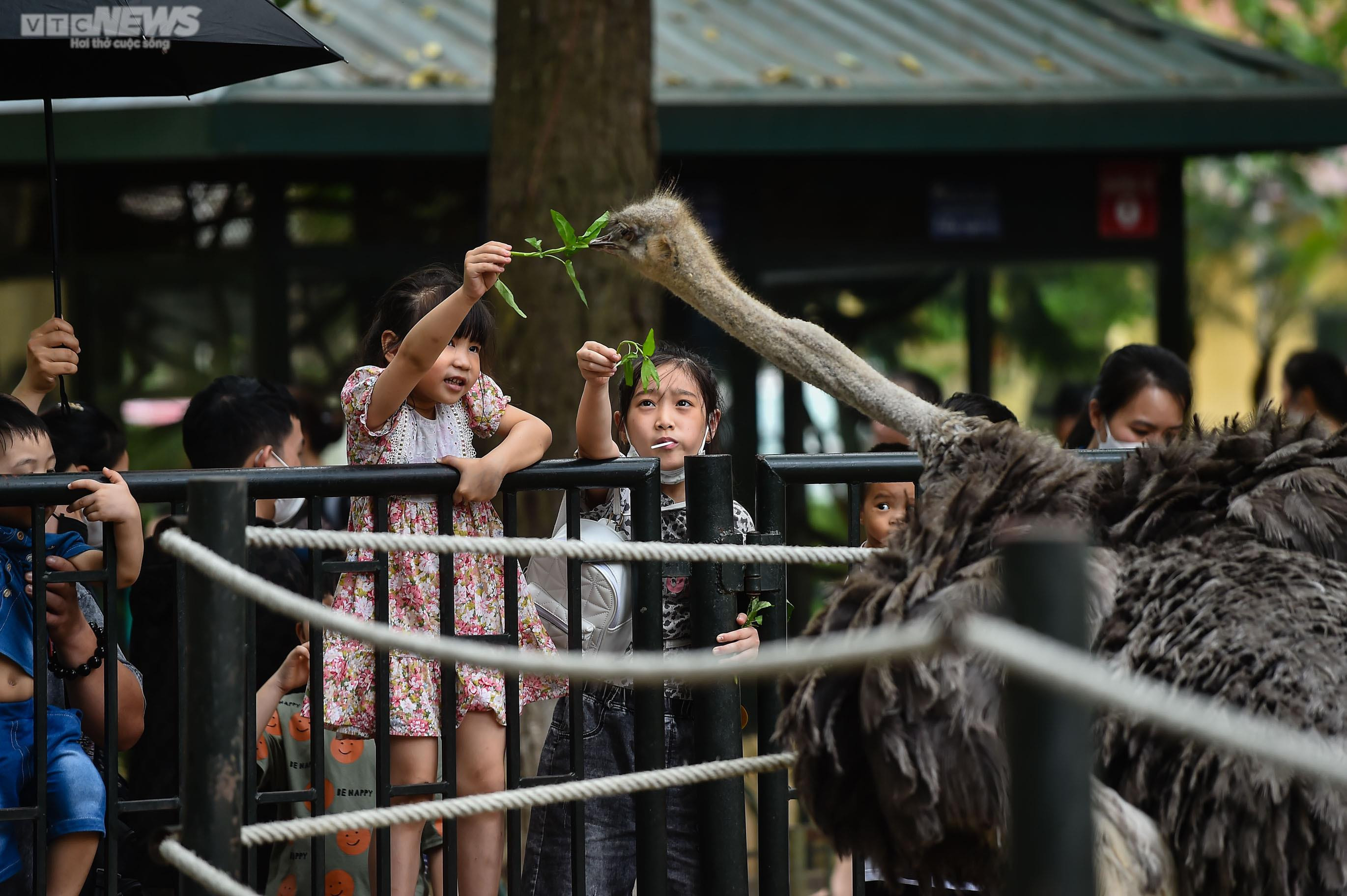 Ngộp thở giữa biển người đổ về công viên Thủ Lệ ngày 1/5 - 7