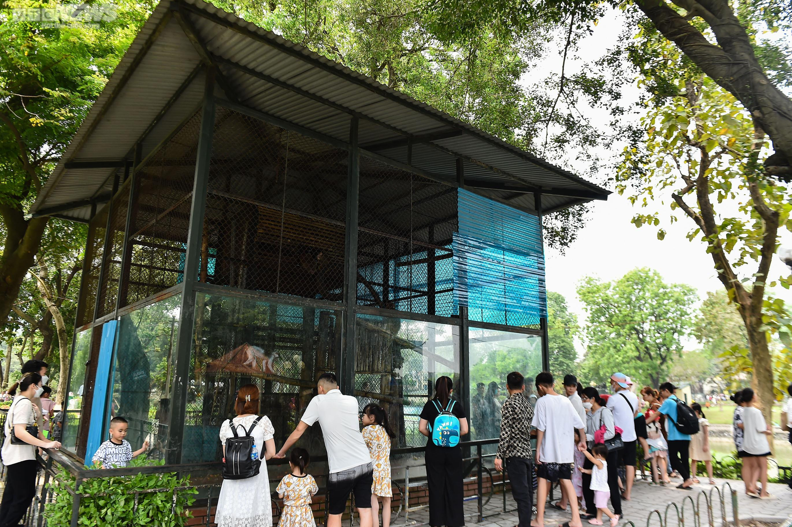 Ngộp thở giữa biển người đổ về công viên Thủ Lệ ngày 1/5 - 8