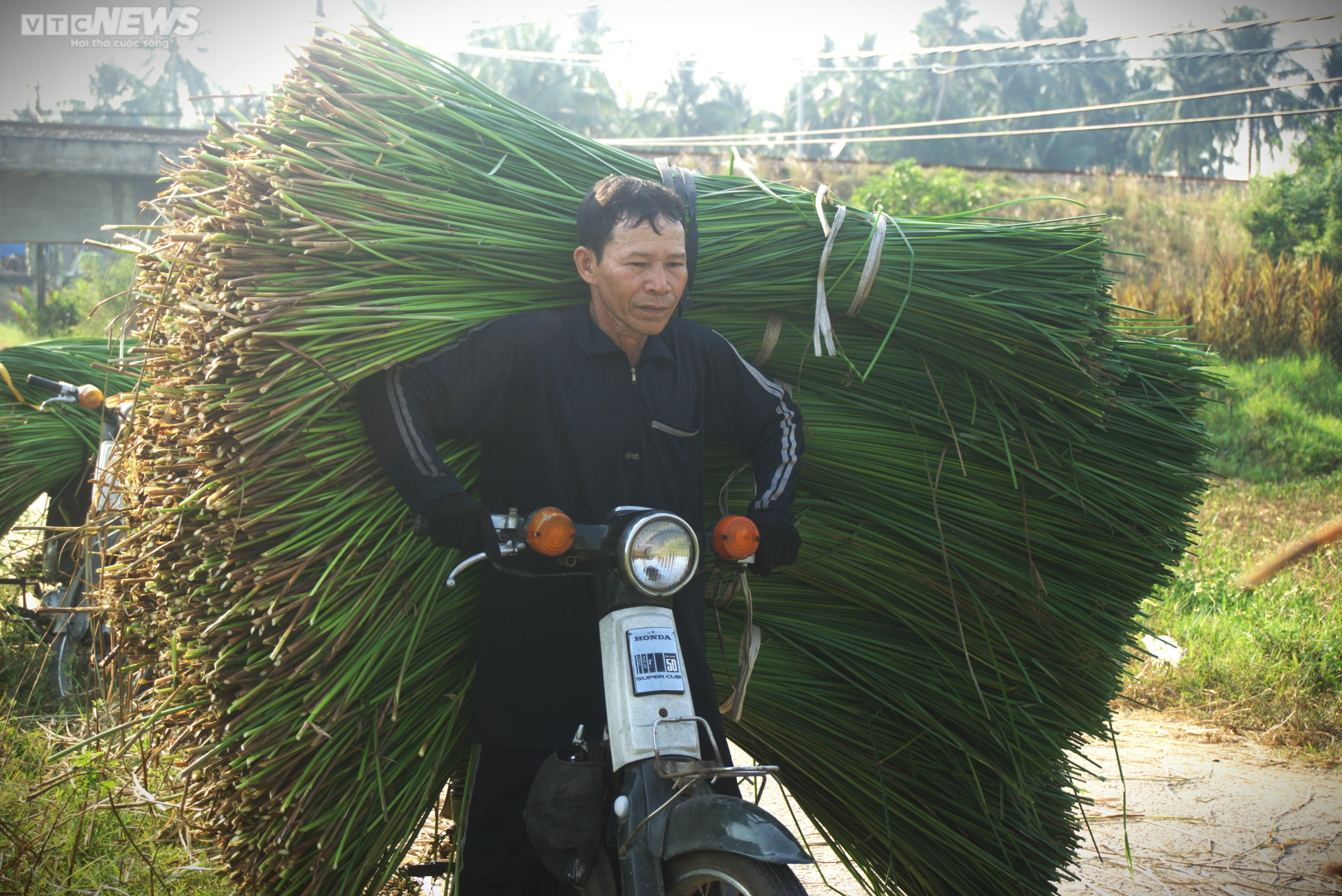 Chiêm ngưỡng cánh đồng cói thơ mộng ở Bình Định - 10