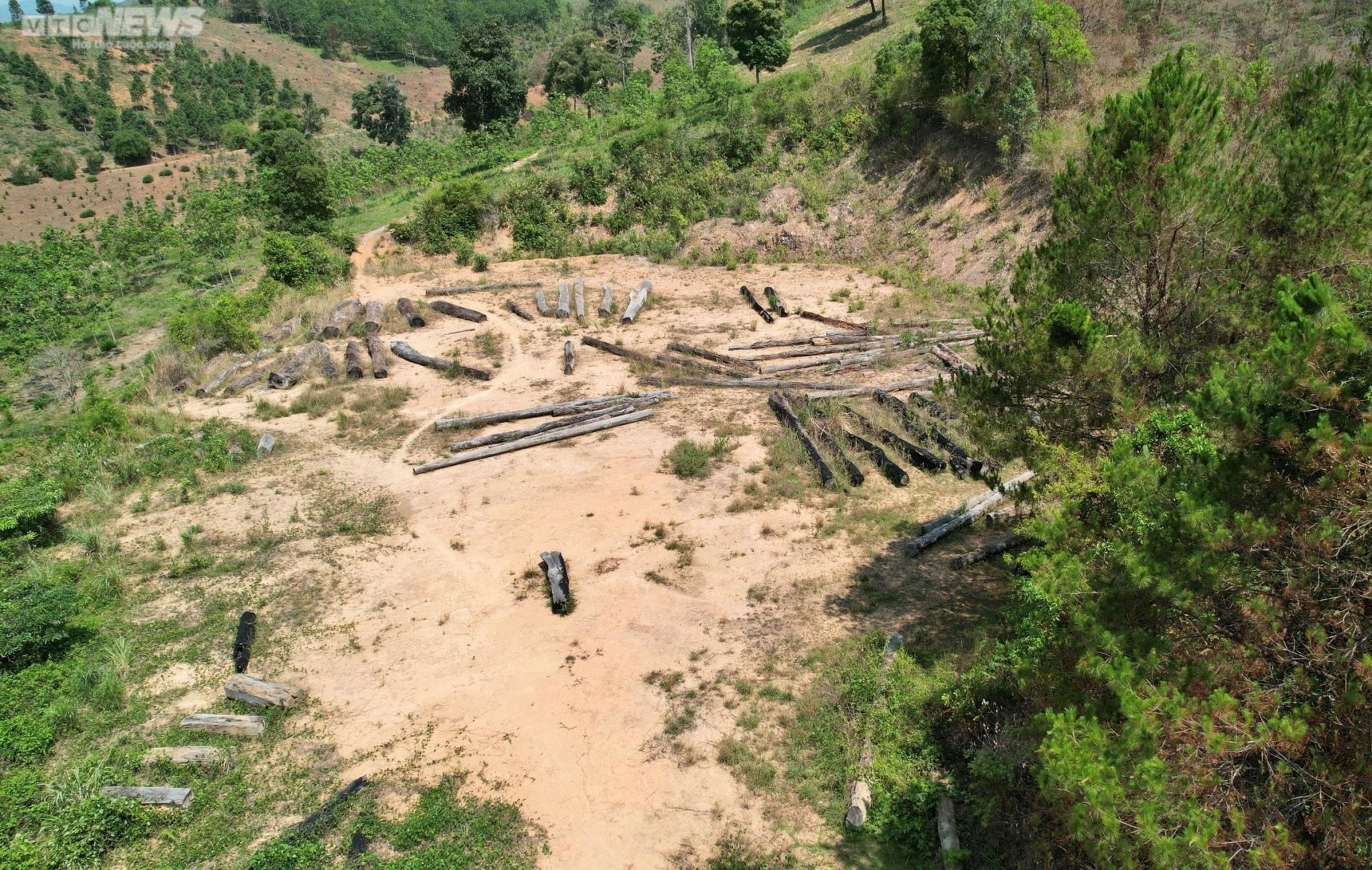 Cận cảnh bãi gỗ quý ở Kon Tum sắp thành phế liệu sau gần một thập kỷ chờ xử lý - 1