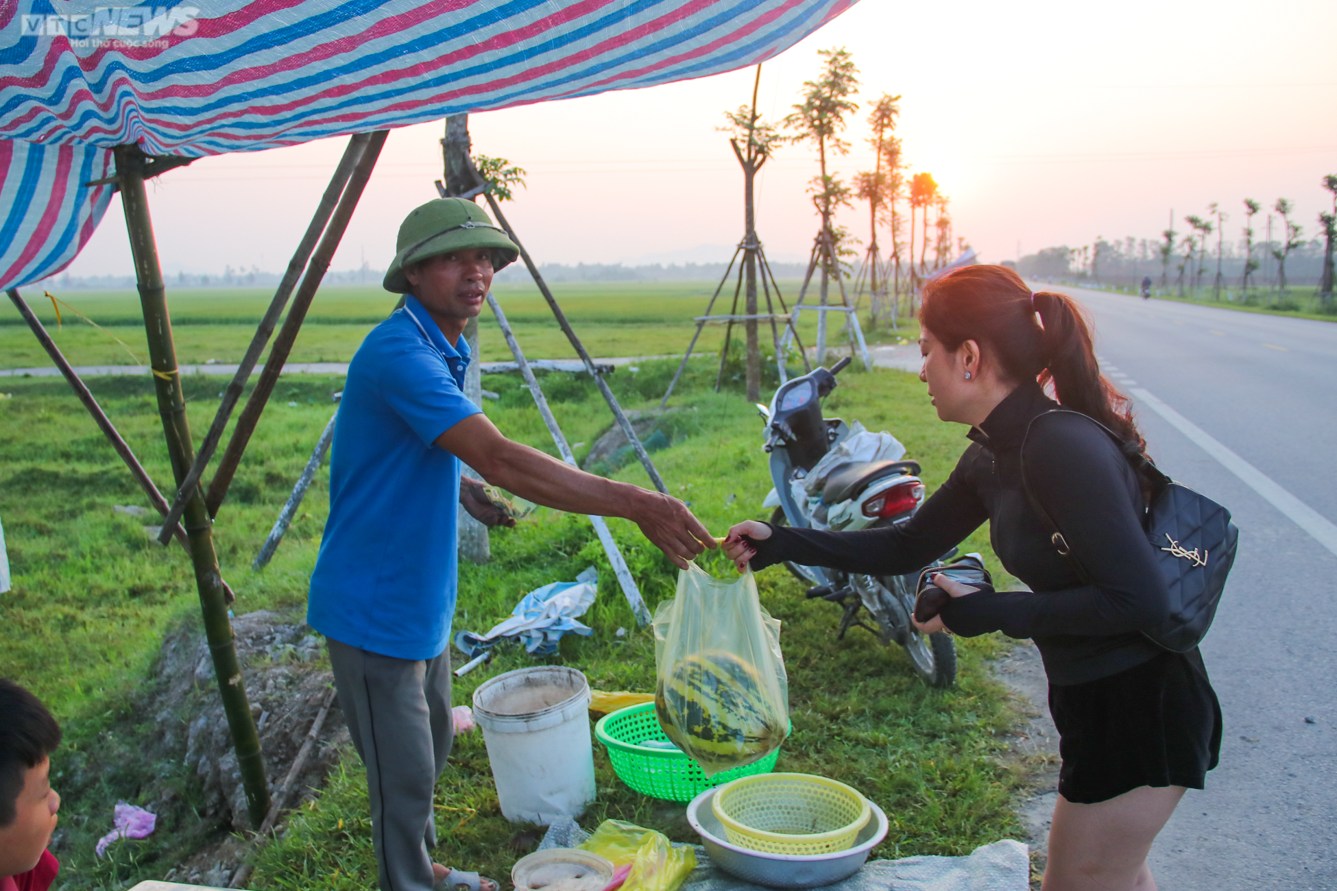 Tránh nắng nóng 42 độ C, nông dân Hà Tĩnh đội đèn thu hoạch dưa từ tờ mờ sáng - 13