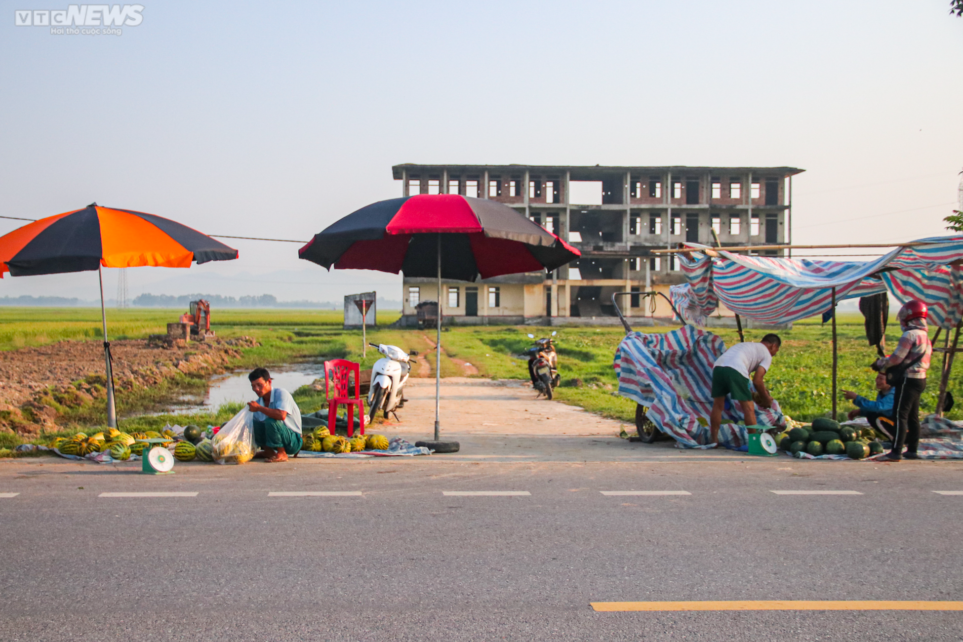 Tránh nắng nóng 42 độ C, nông dân Hà Tĩnh đội đèn thu hoạch dưa từ tờ mờ sáng - 12