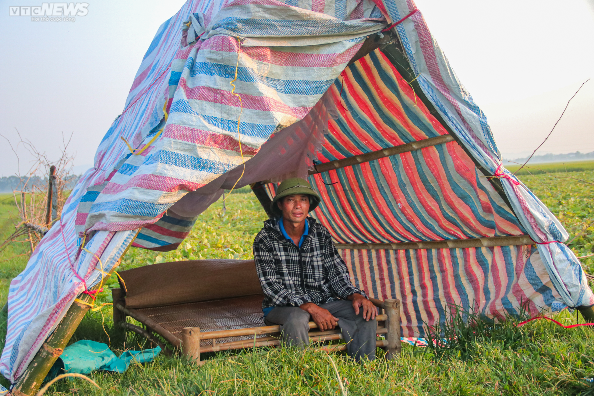 Tránh nắng nóng 42 độ C, nông dân Hà Tĩnh đội đèn thu hoạch dưa từ tờ mờ sáng - 10