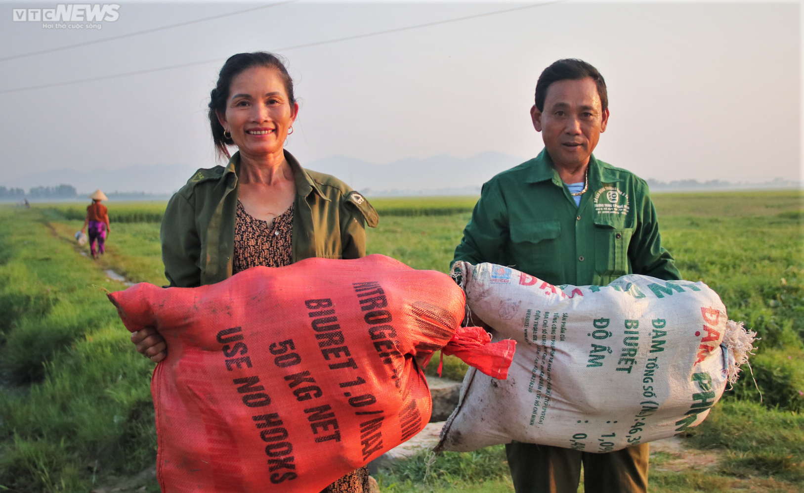 Tránh nắng nóng 42 độ C, nông dân Hà Tĩnh đội đèn thu hoạch dưa từ tờ mờ sáng - 11