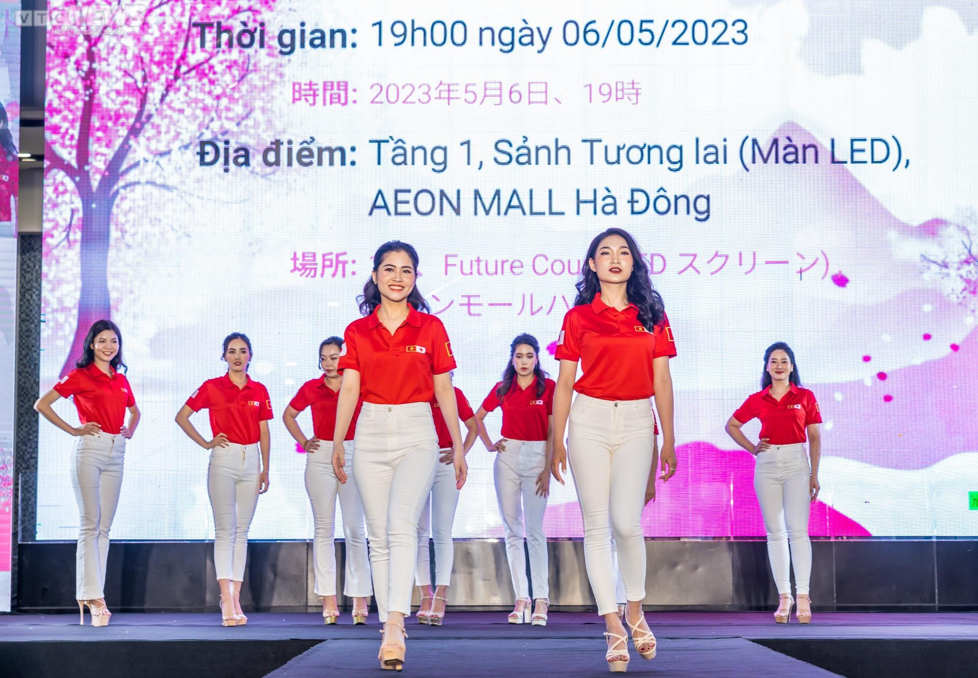 Đêm diễn nghệ thuật ‘Giao lưu những nét văn hoá Việt Nam – Nhật Bản’ - 13