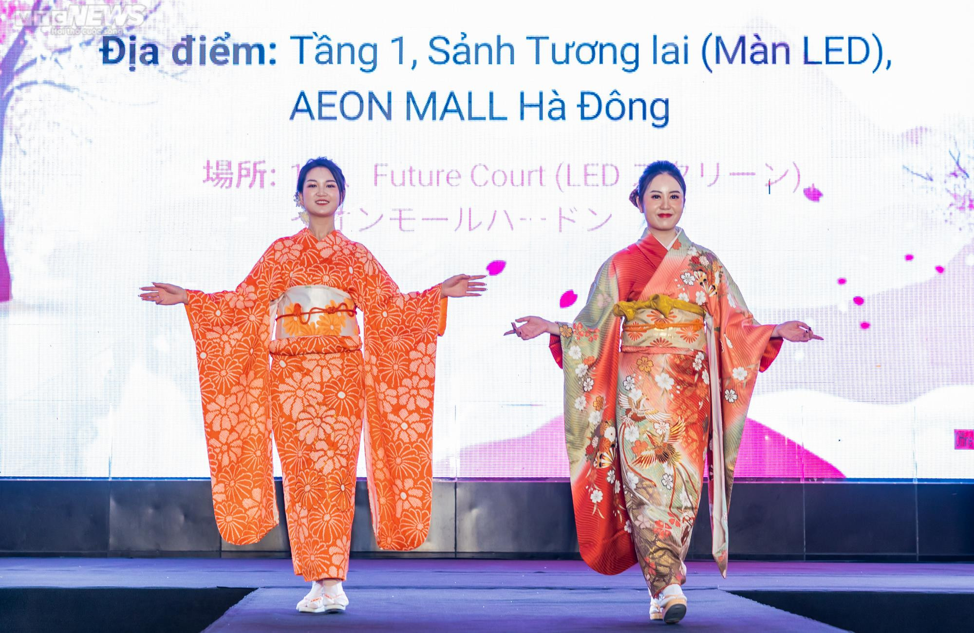 Đêm diễn nghệ thuật ‘Giao lưu những nét văn hoá Việt Nam – Nhật Bản’ - 4