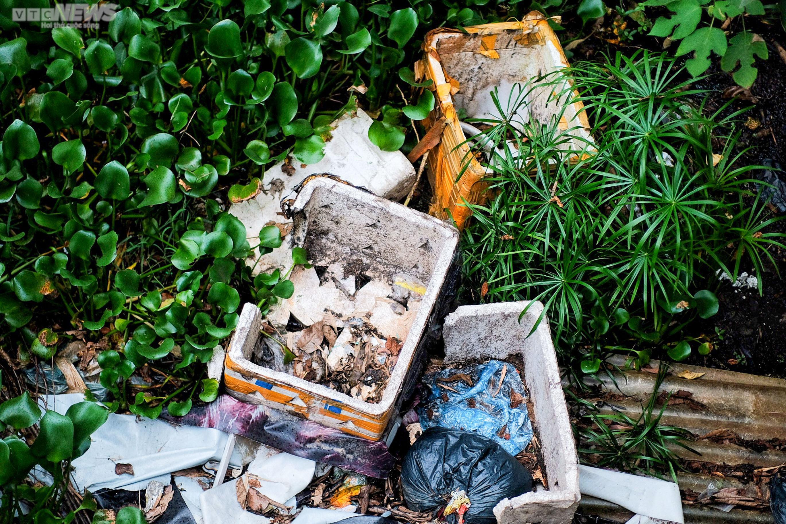 Hàng loạt mương thối bốc mùi giữa Hà Nội, bủa vây người dân - 4