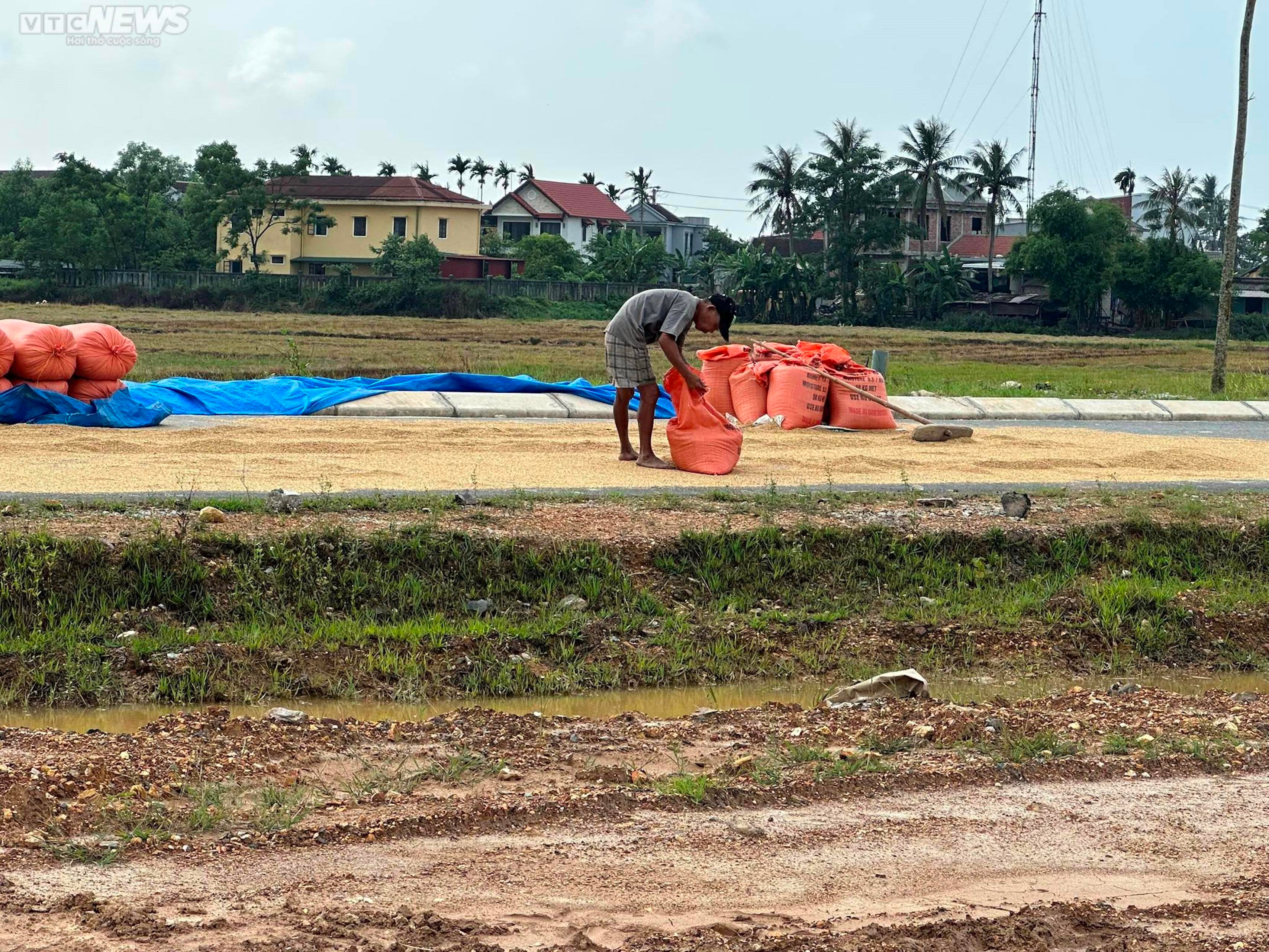 Dự án đường gần 200 tỷ thi công 'ì ạch', công trường thành chỗ dân phơi thóc - 8