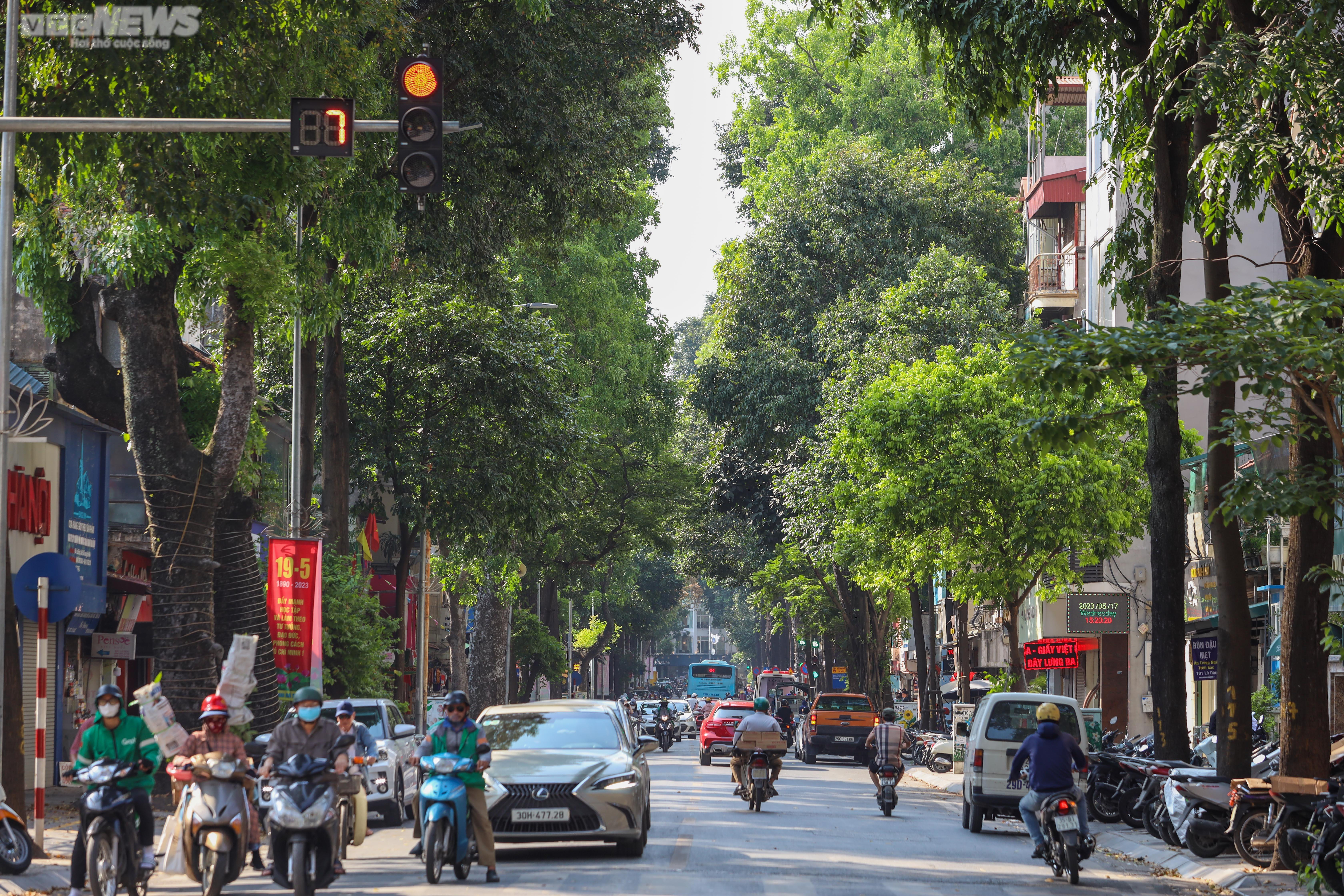 Những con đường rợp bóng mát giữa ngày Hà Nội 'đổ lửa' - 10